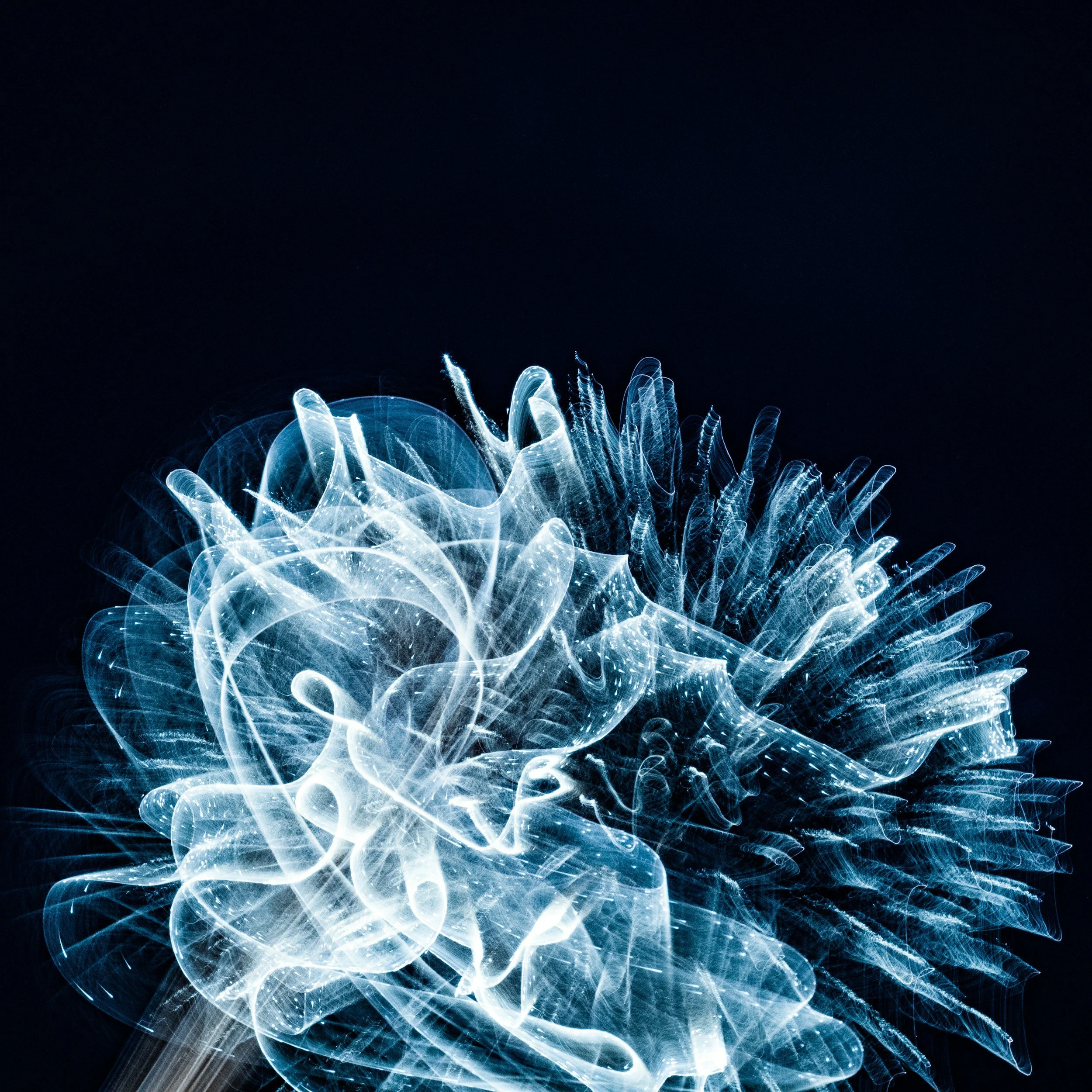 How Is the Brain and Body Impacted by PTSD?