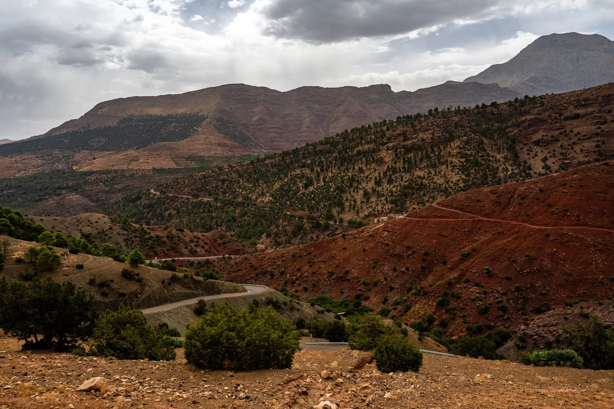 DSC_1124 2.jpg