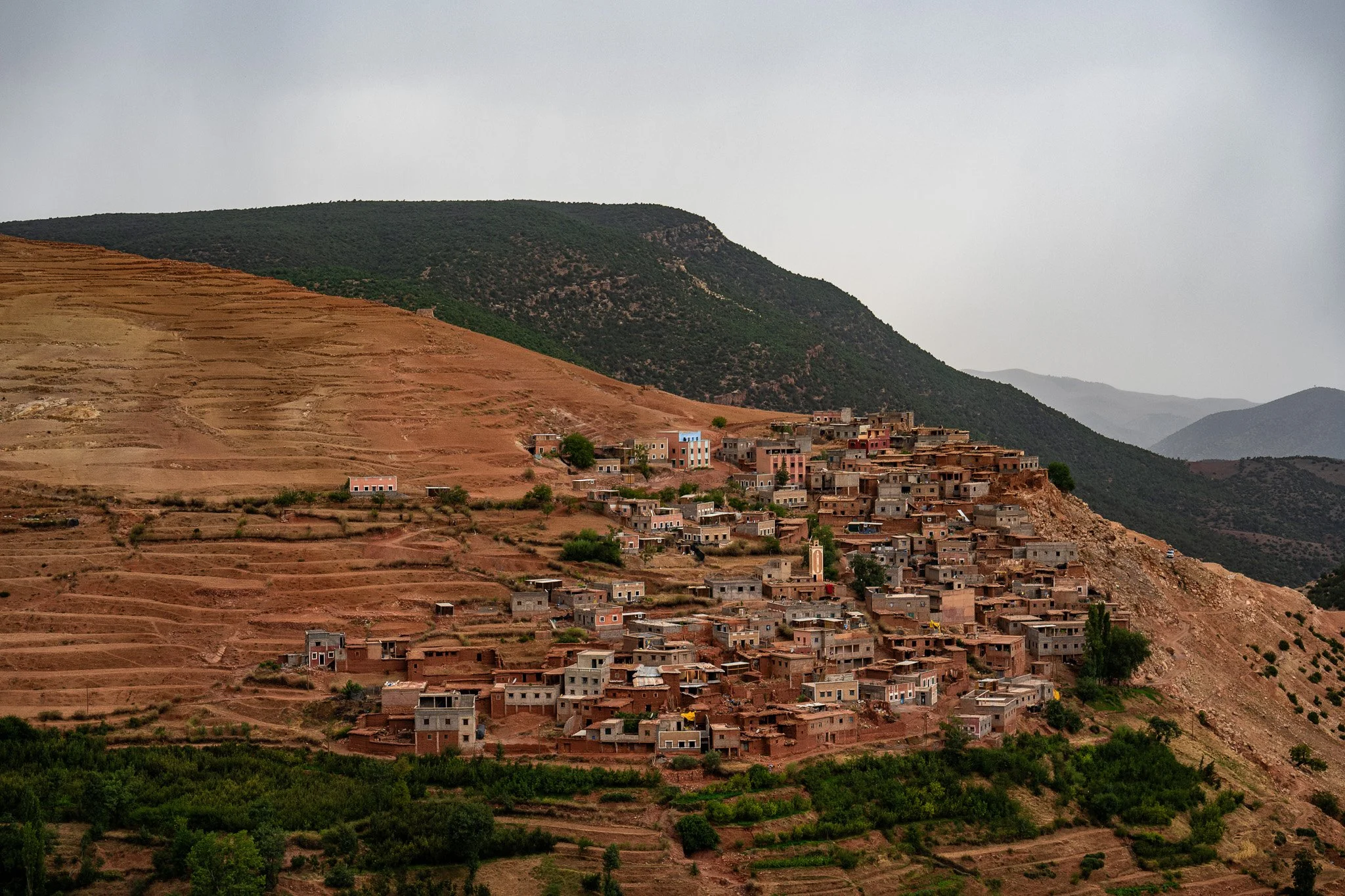 DSC_1161 3.jpg