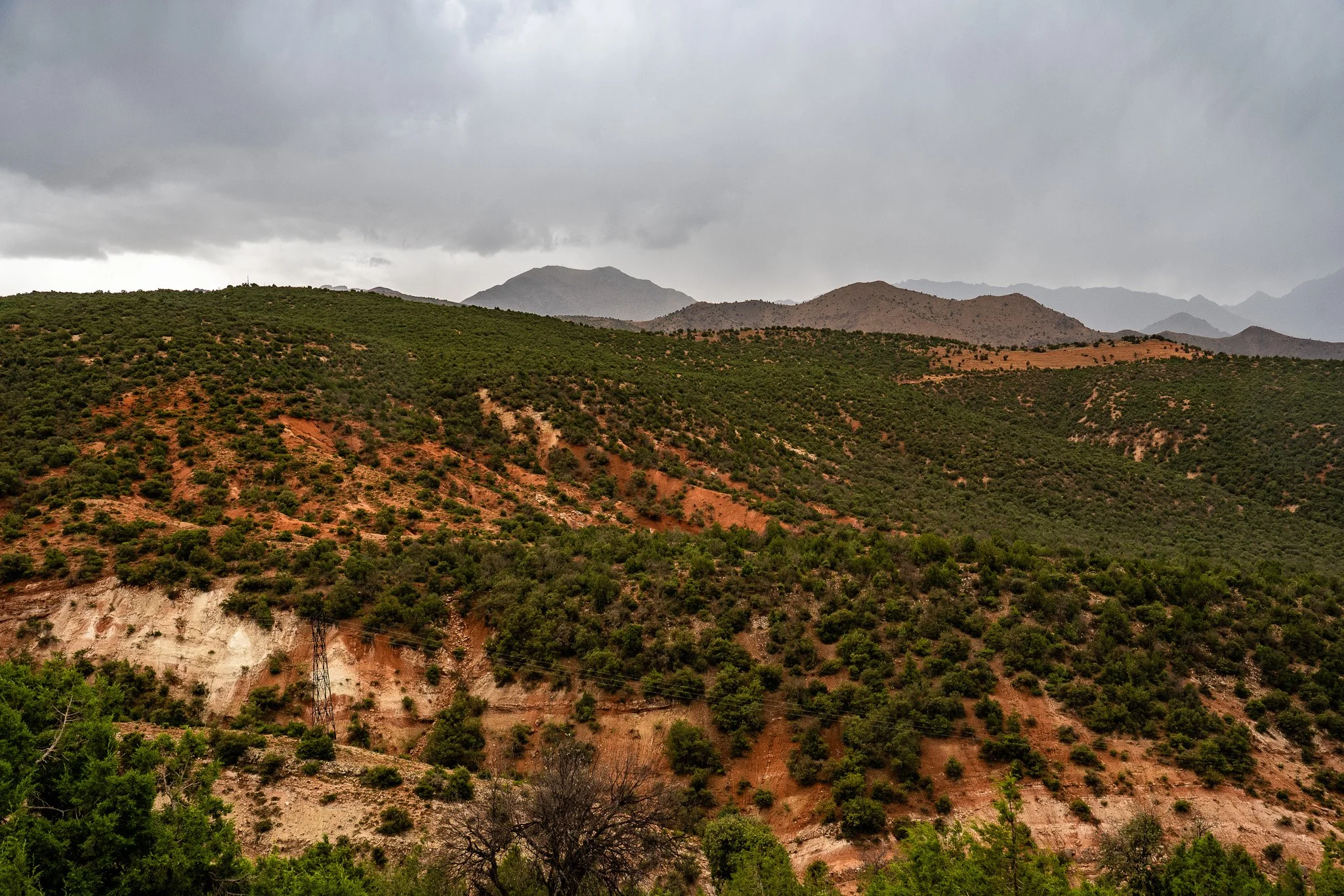DSC_1245 4.jpg