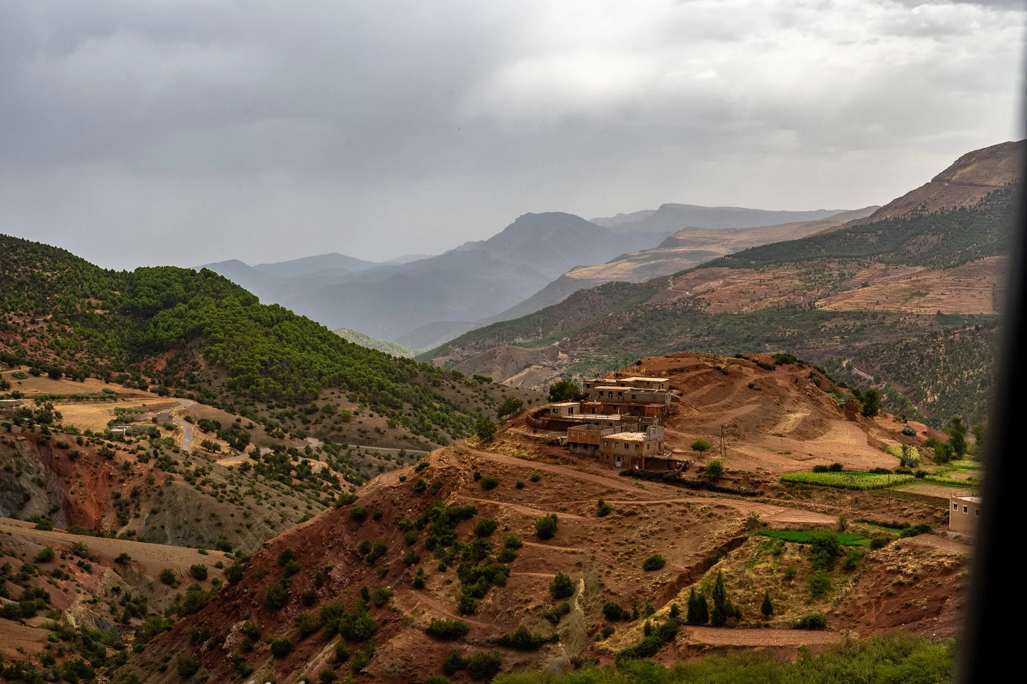 DSC_1146 4.jpg
