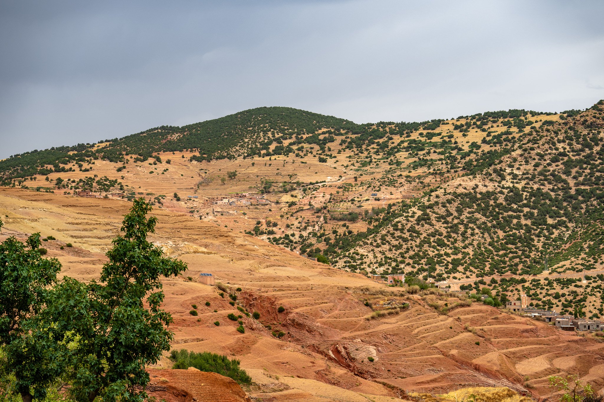 DSC_1206.jpg