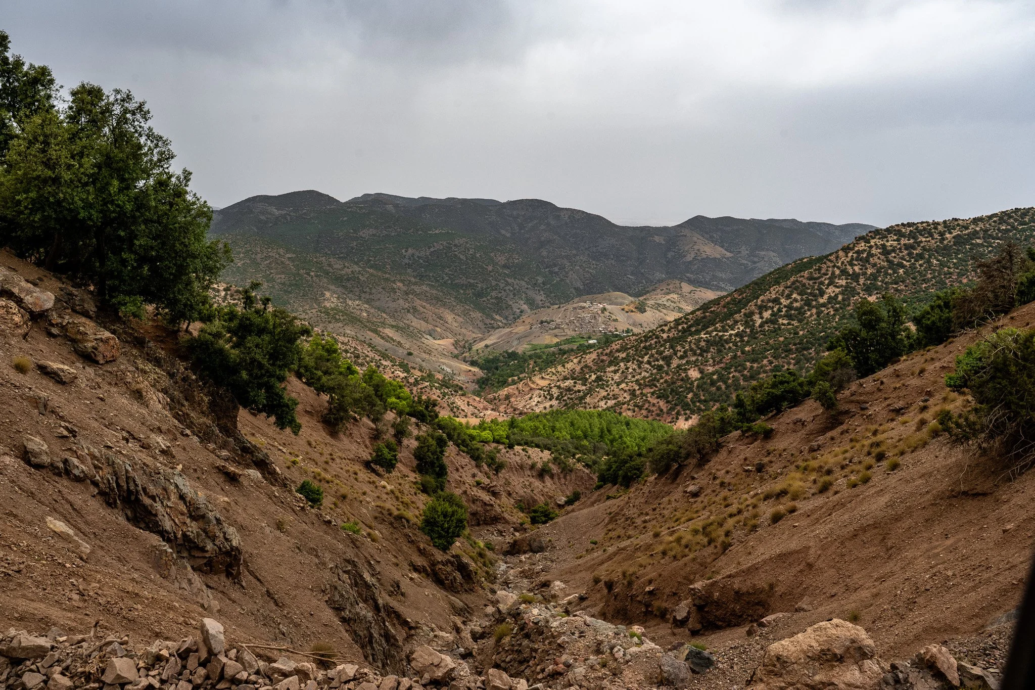 DSC_1154.jpg