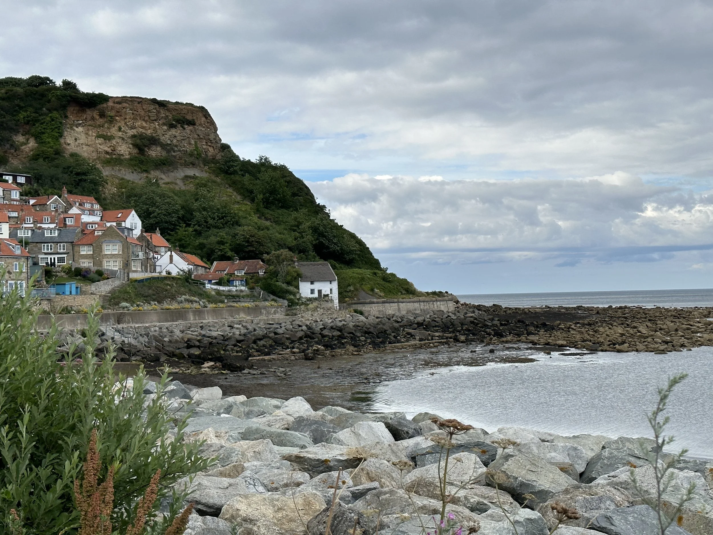 View of a rocky shoreline with a small village of houses with red and gray roofs, green hills, and a cloudy sky in the background.