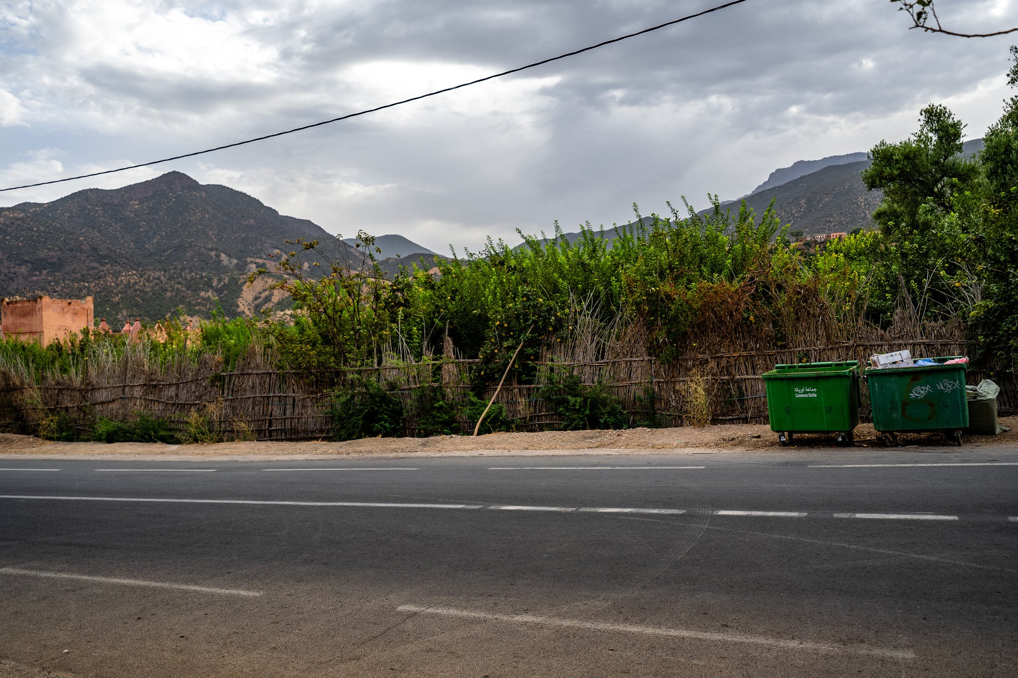 DSC_1041 3.jpg