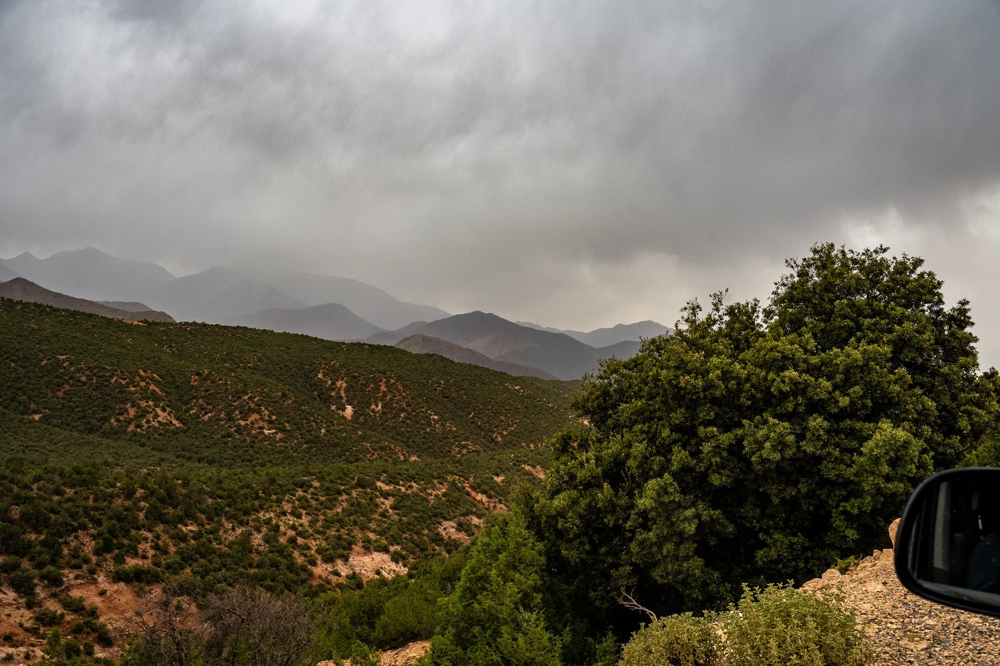DSC_1244 2.jpg