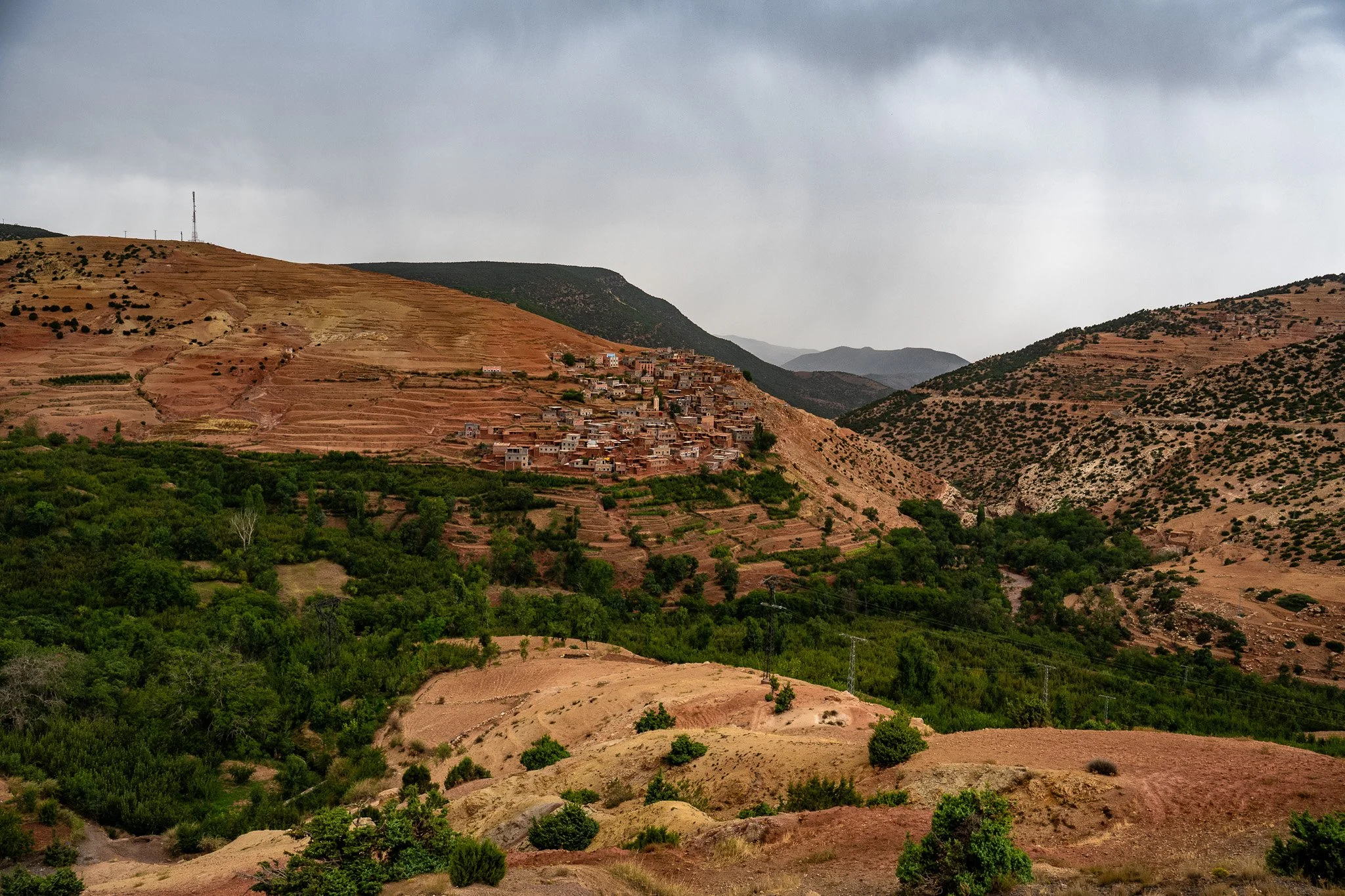 DSC_1159.jpg
