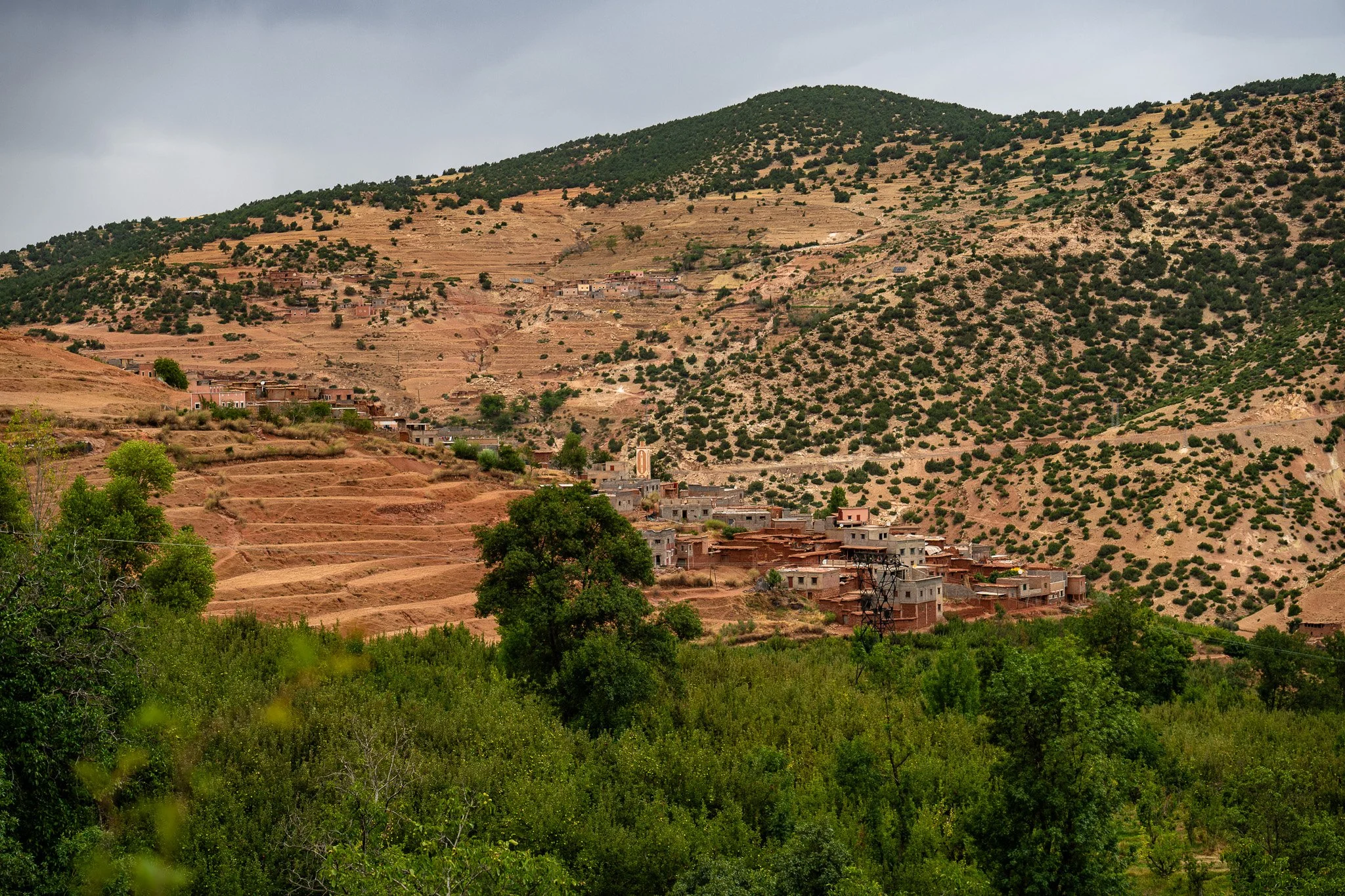 DSC_1187 3.jpg