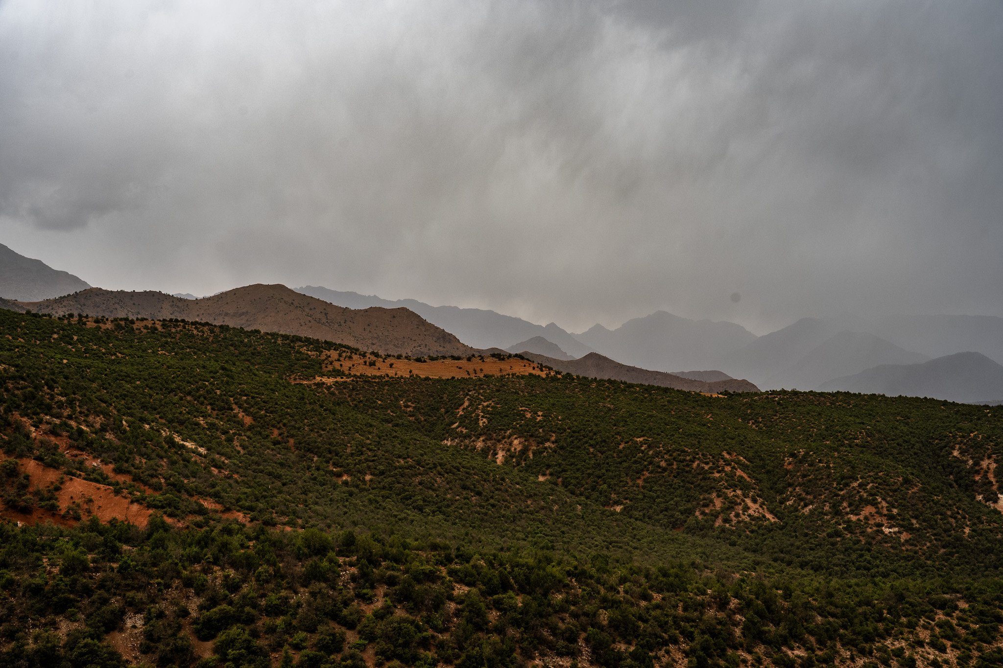 DSC_1242.jpg