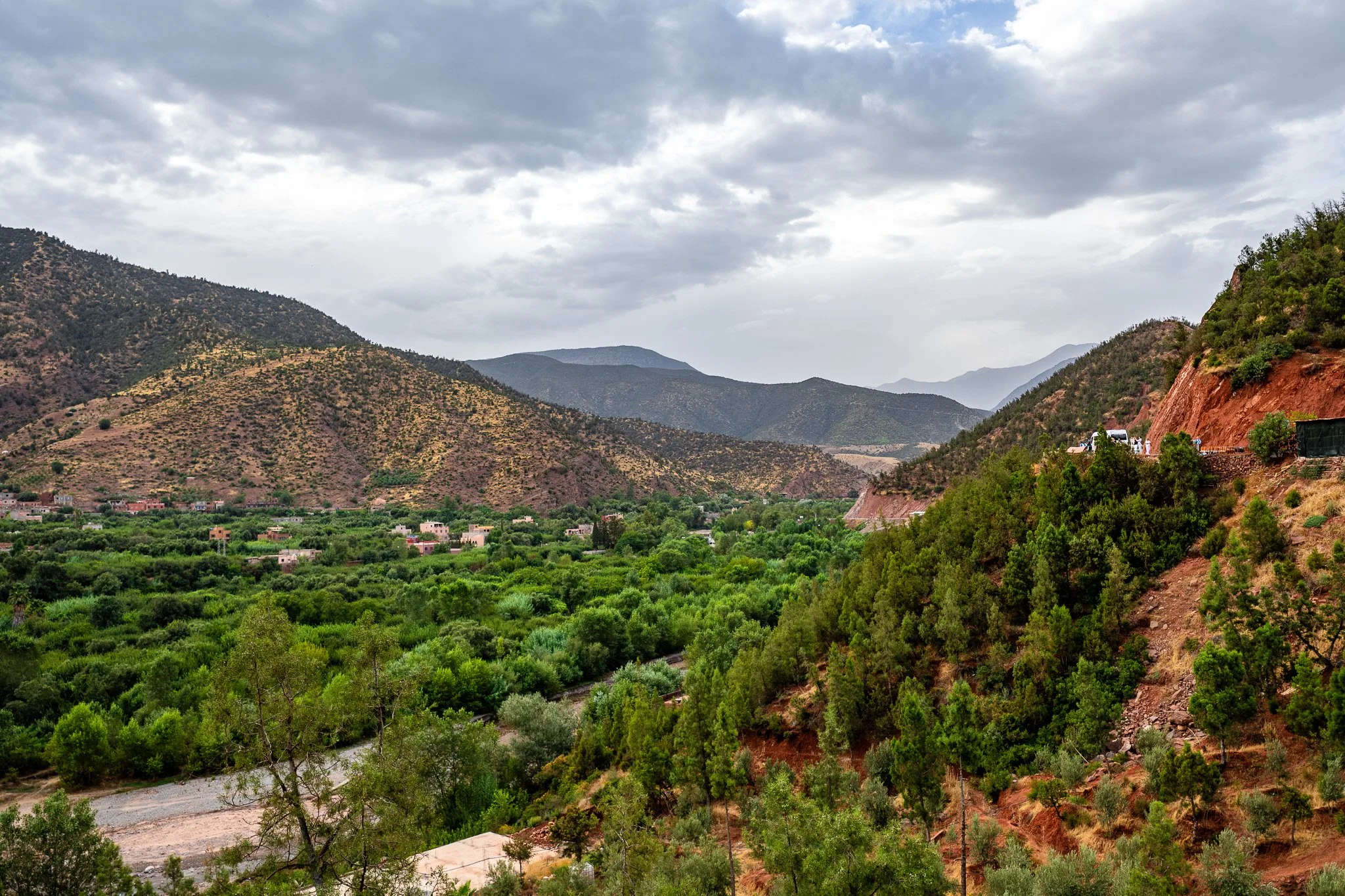 DSC_1037 2.jpg