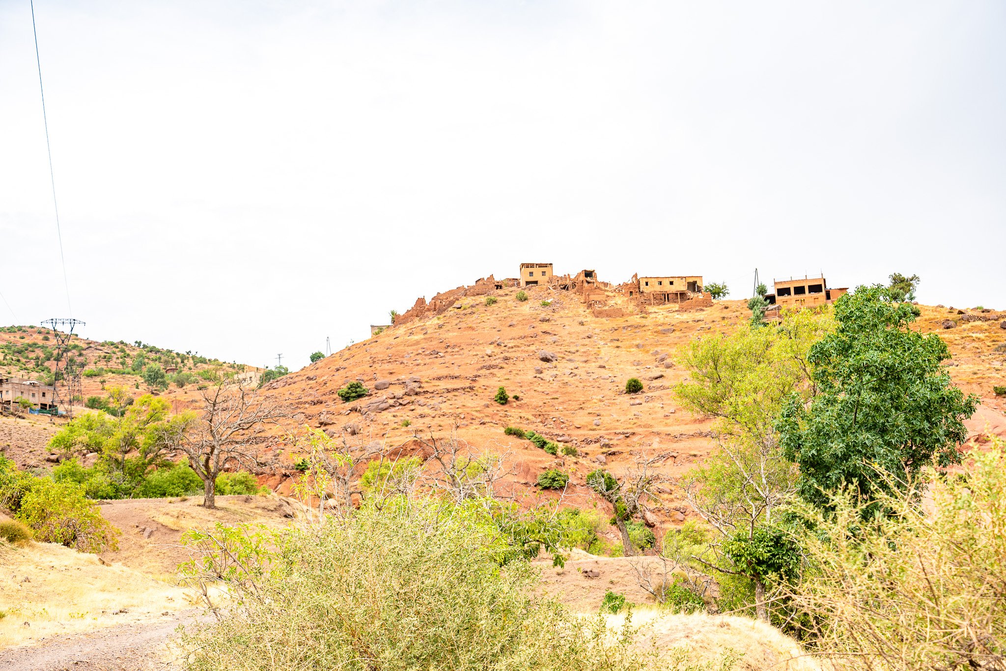 DSC_1200 3.jpg