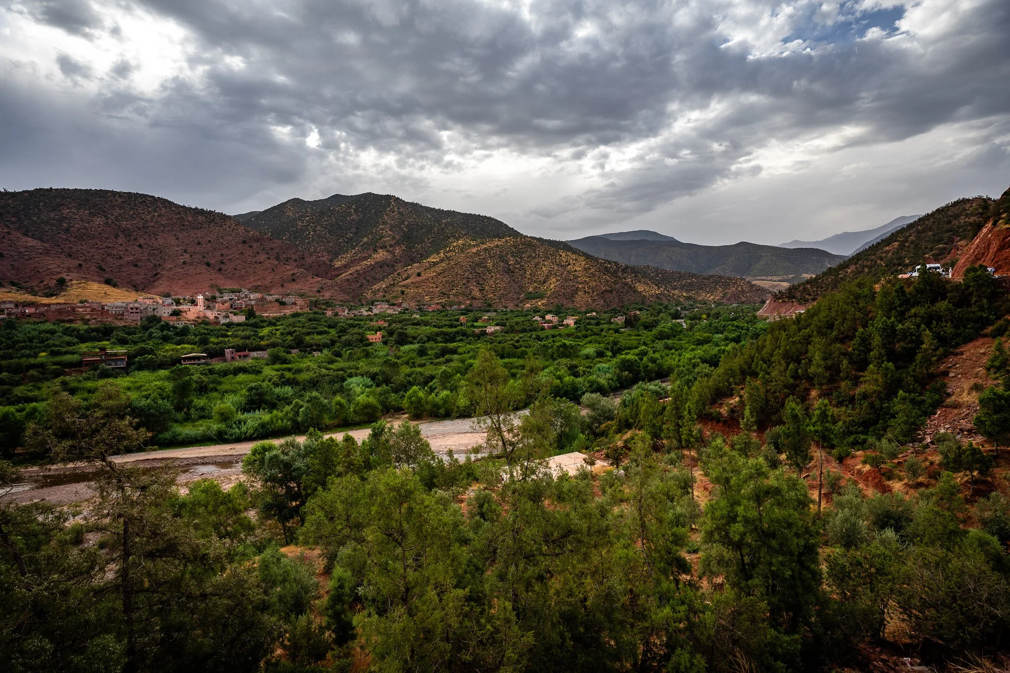 DSC_1035.jpg
