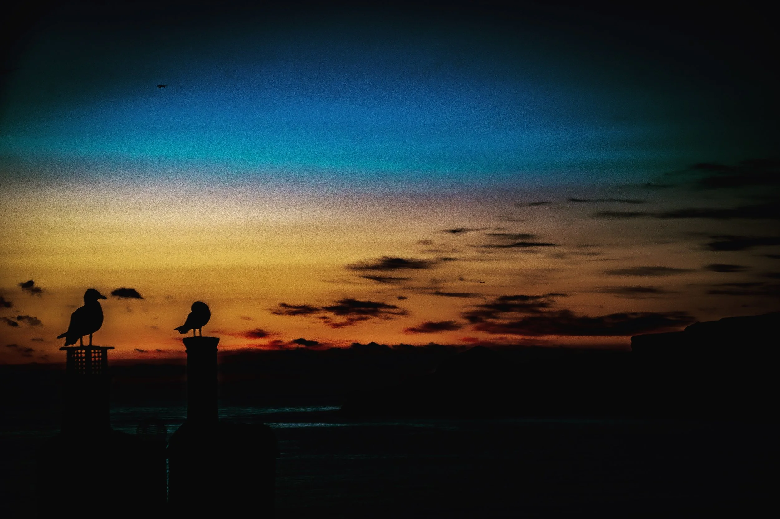 Silhouetted seagulls perched on posts against a colorful sunset sky with blue, orange, and pink hues, and scattered clouds over a calm body of water.