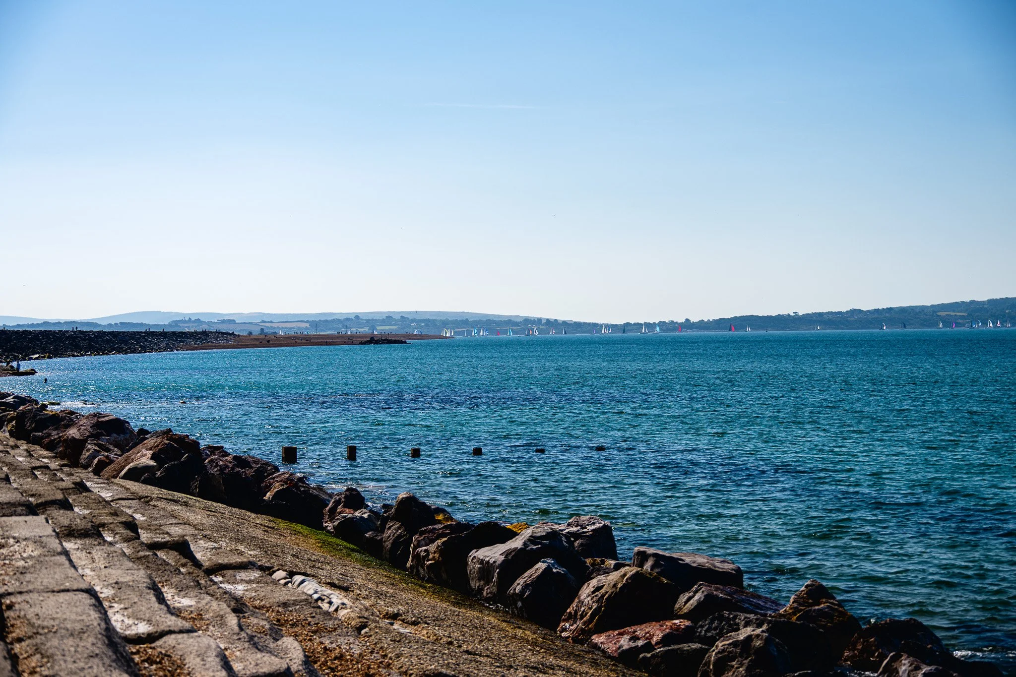 DSC_1210.jpg