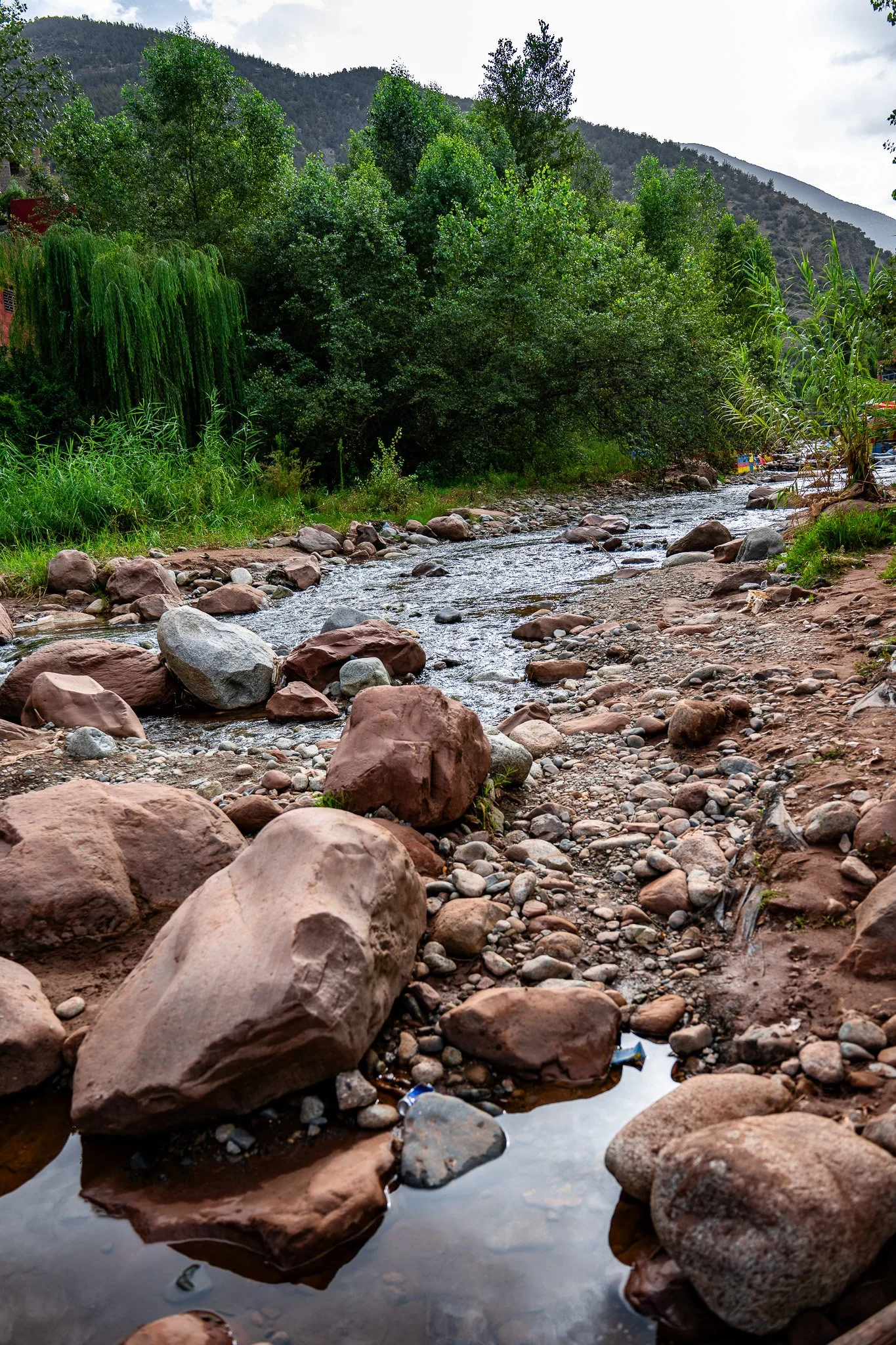 DSC_1066.jpg