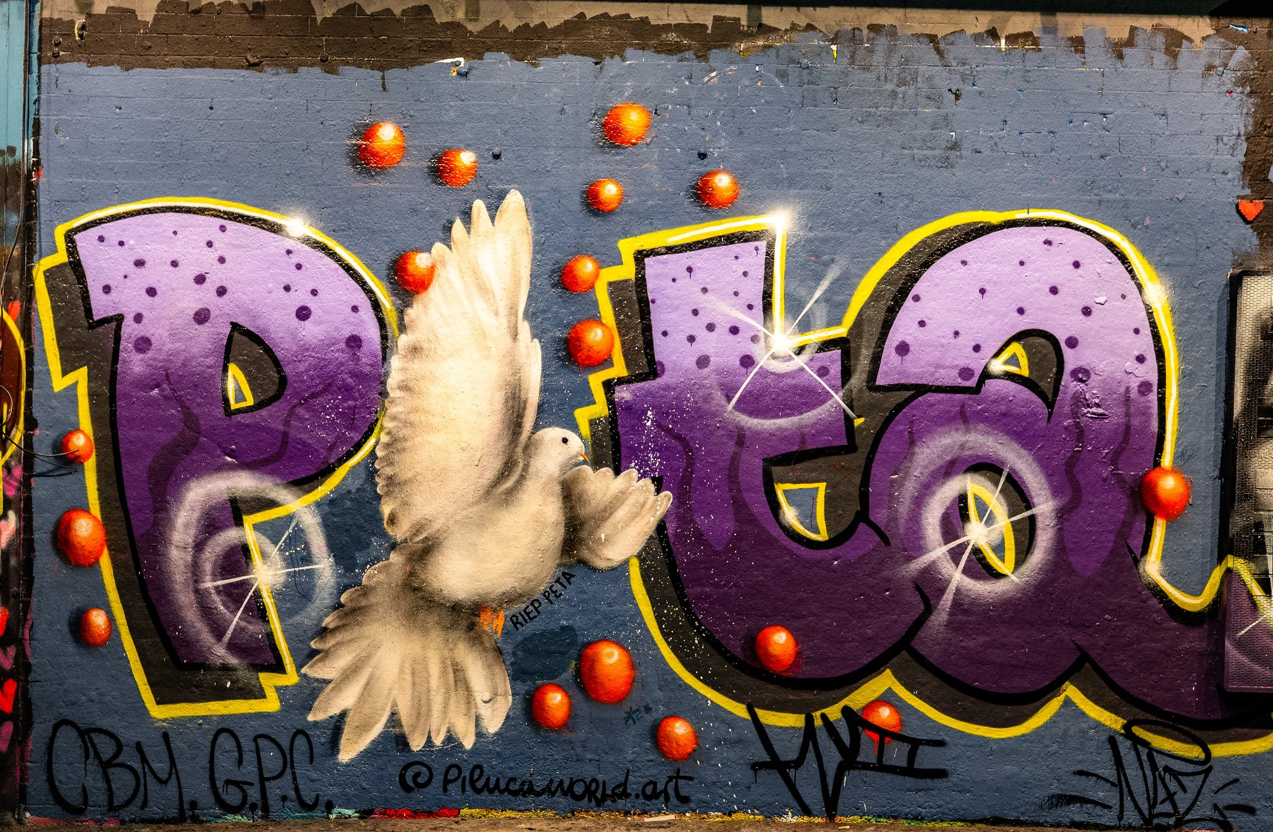 Graffiti art on a wall featuring large, purple, bubble-style letters outlined in black and yellow, decorated with small orange spheres and white sparkles, with a realistic dove in front, pecking, and additional tags and signatures below.