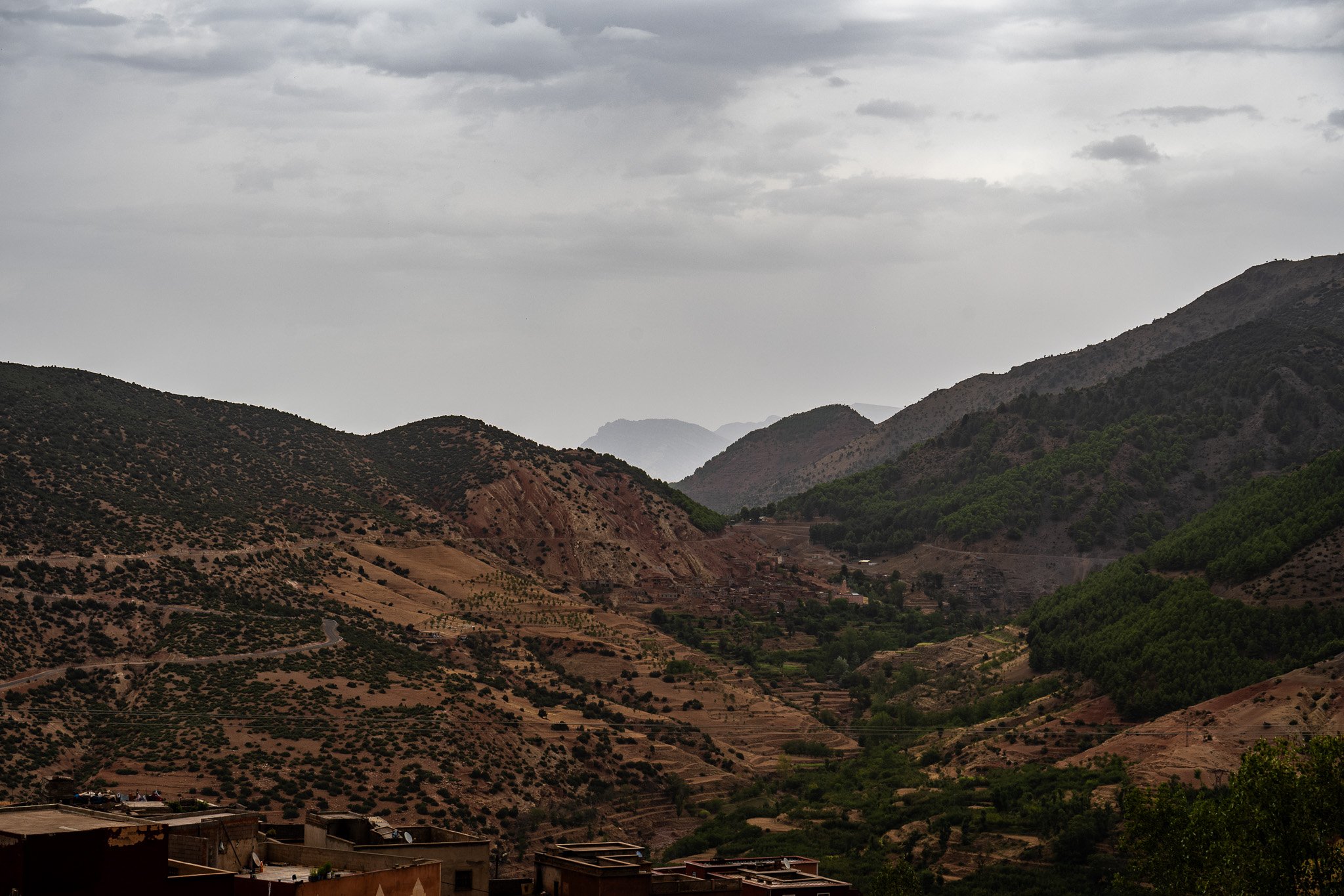 DSC_1233 3.jpg