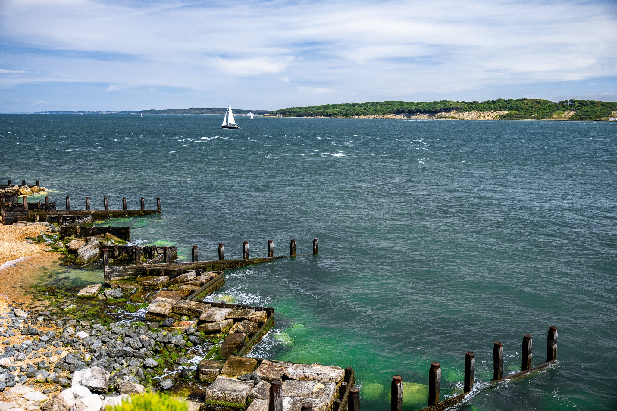 DSC_0718.jpg