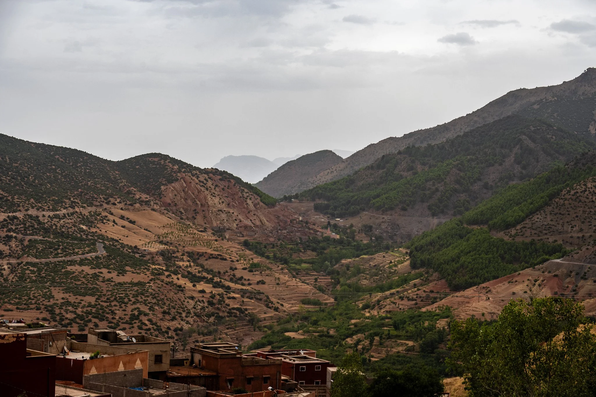 DSC_1232 2.jpg