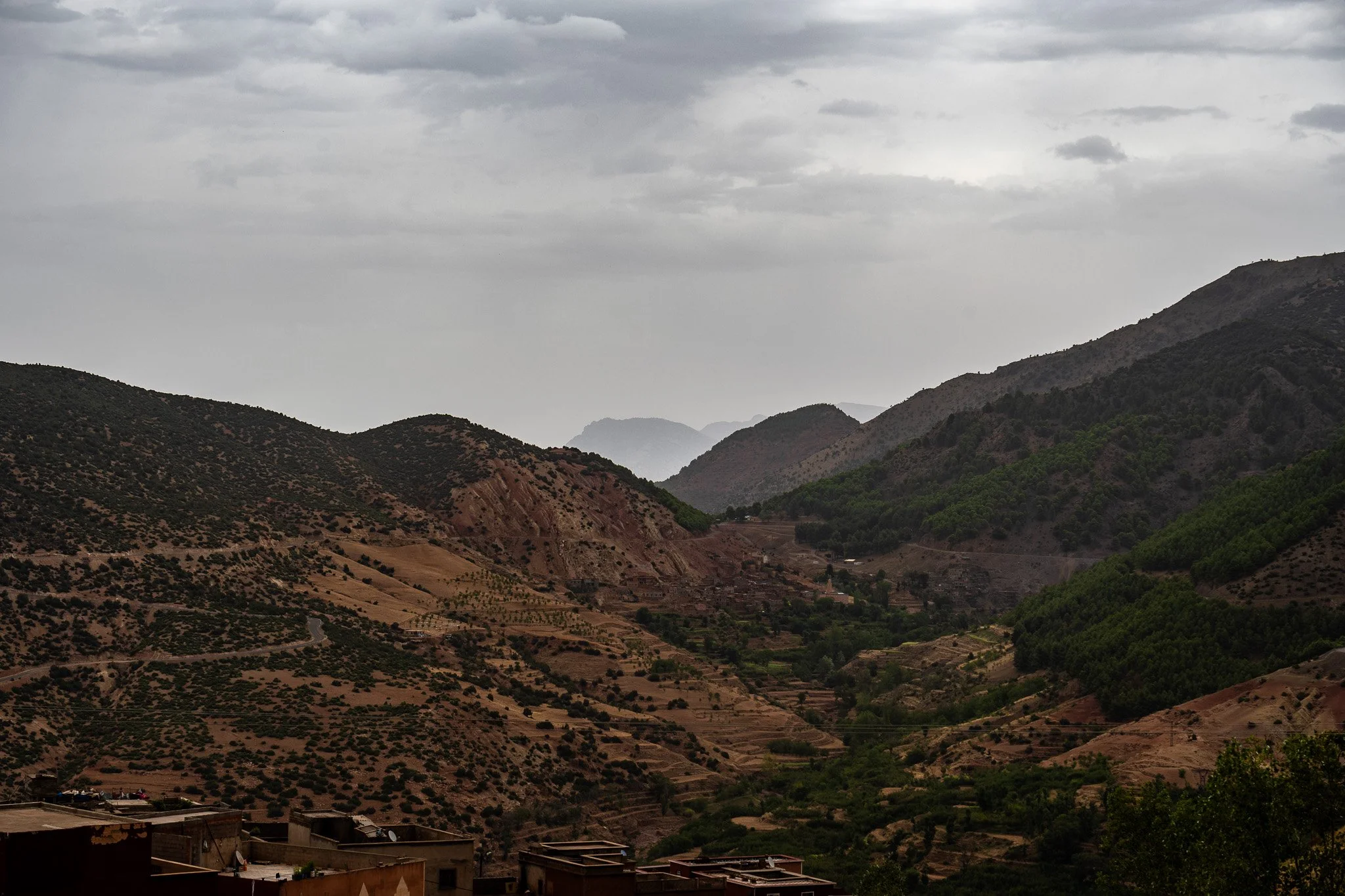 DSC_1234 3.jpg