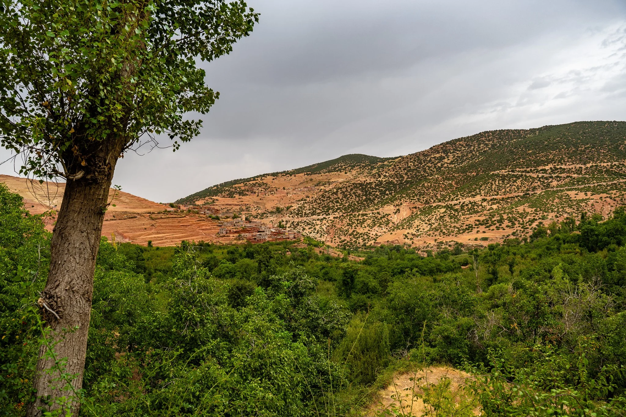 DSC_1180.jpg