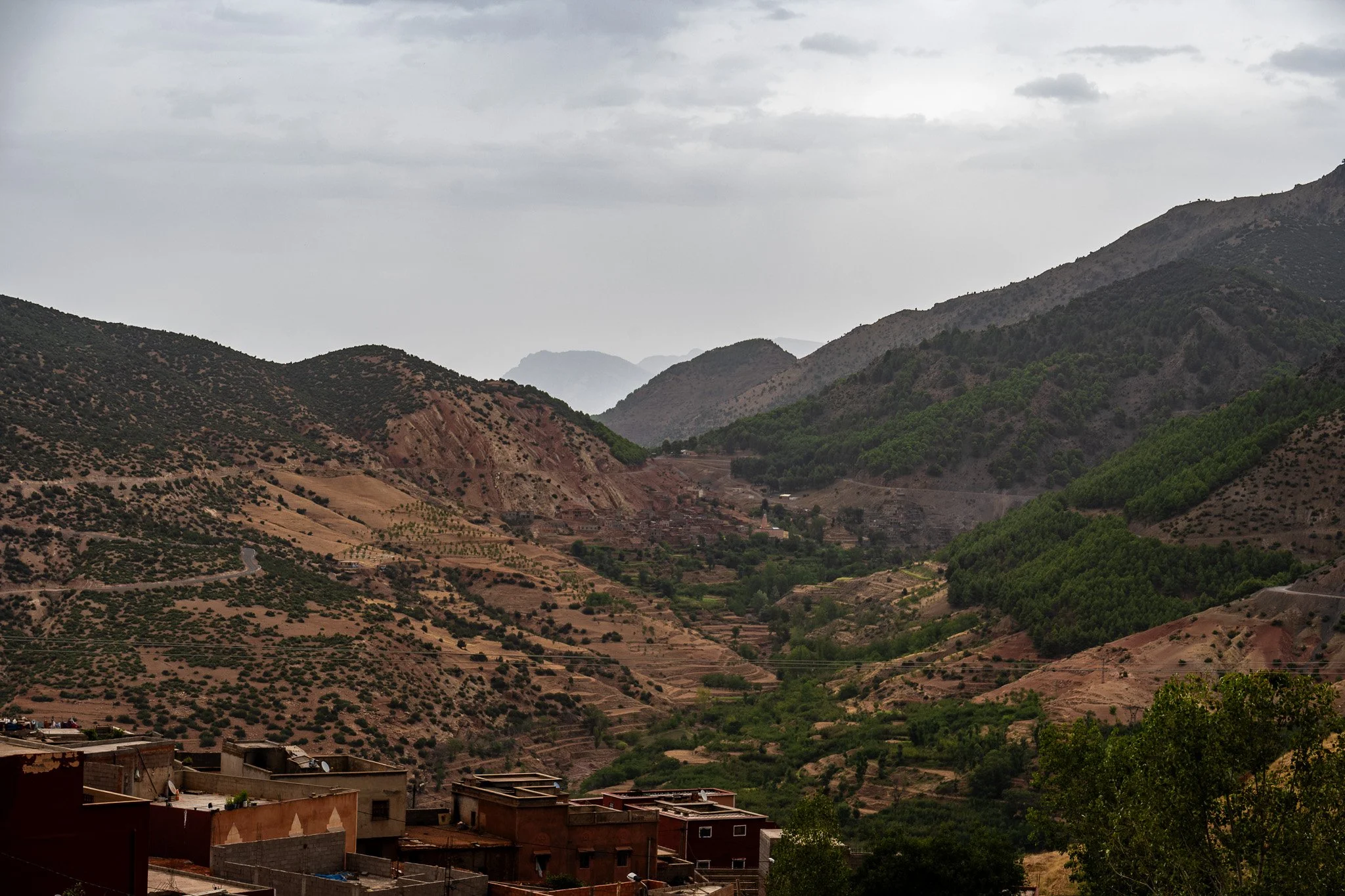 DSC_1231 3.jpg