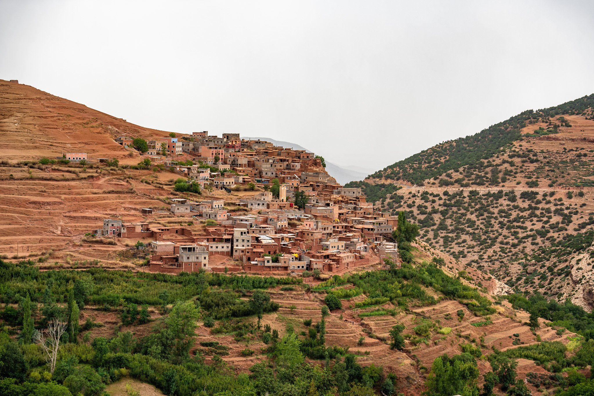 DSC_1165.jpg