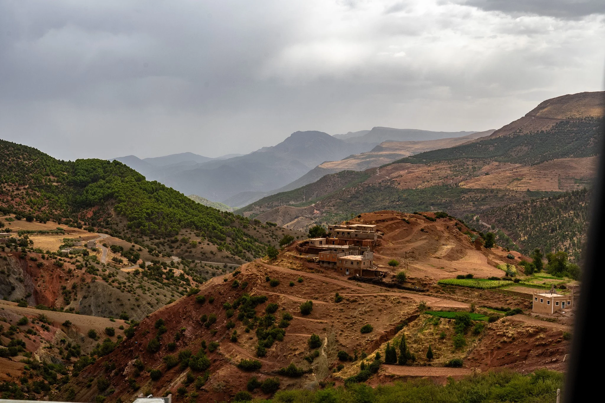 DSC_1145 4.jpg
