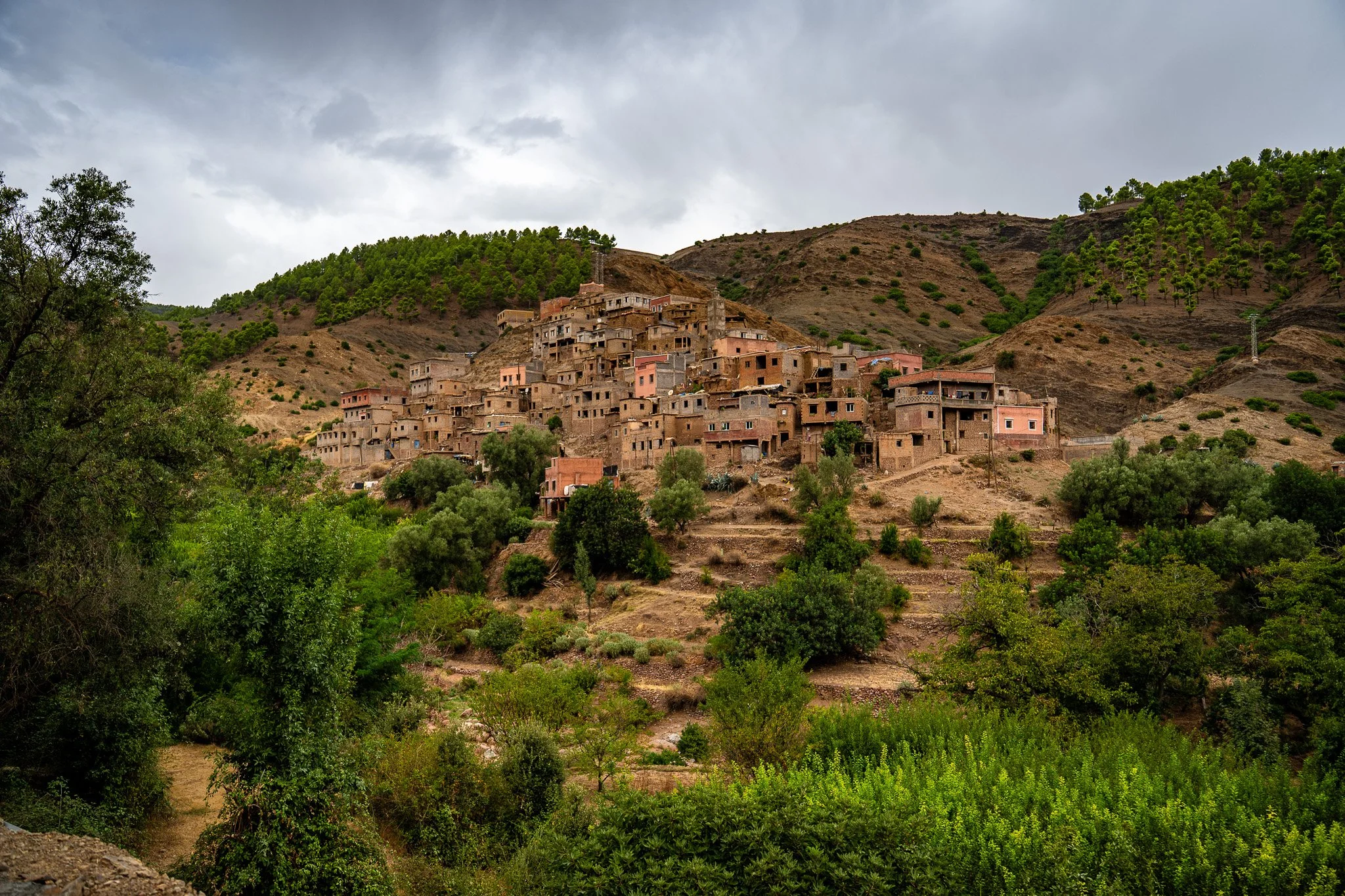 DSC_1101.jpg