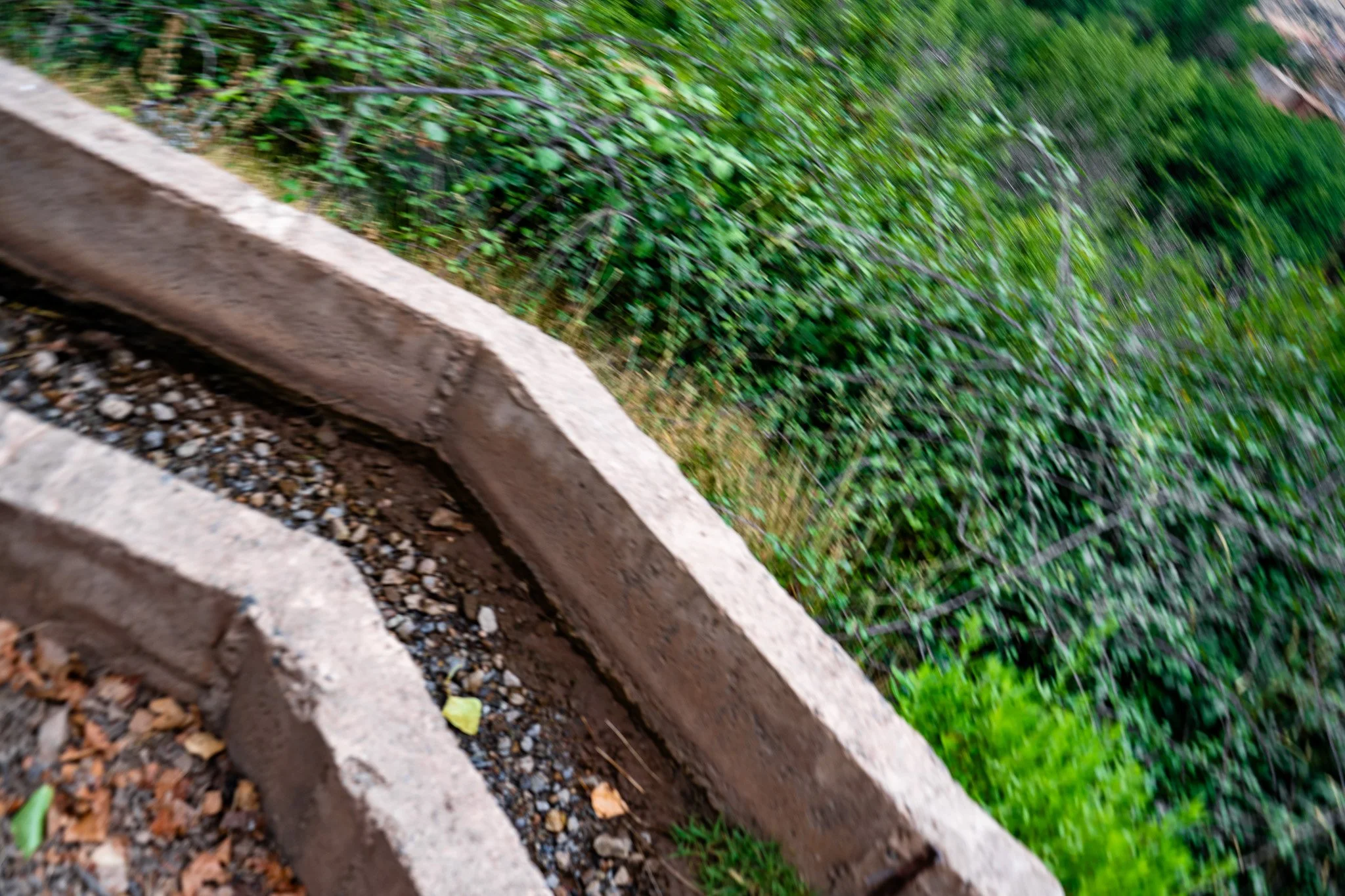 DSC_1177.jpg