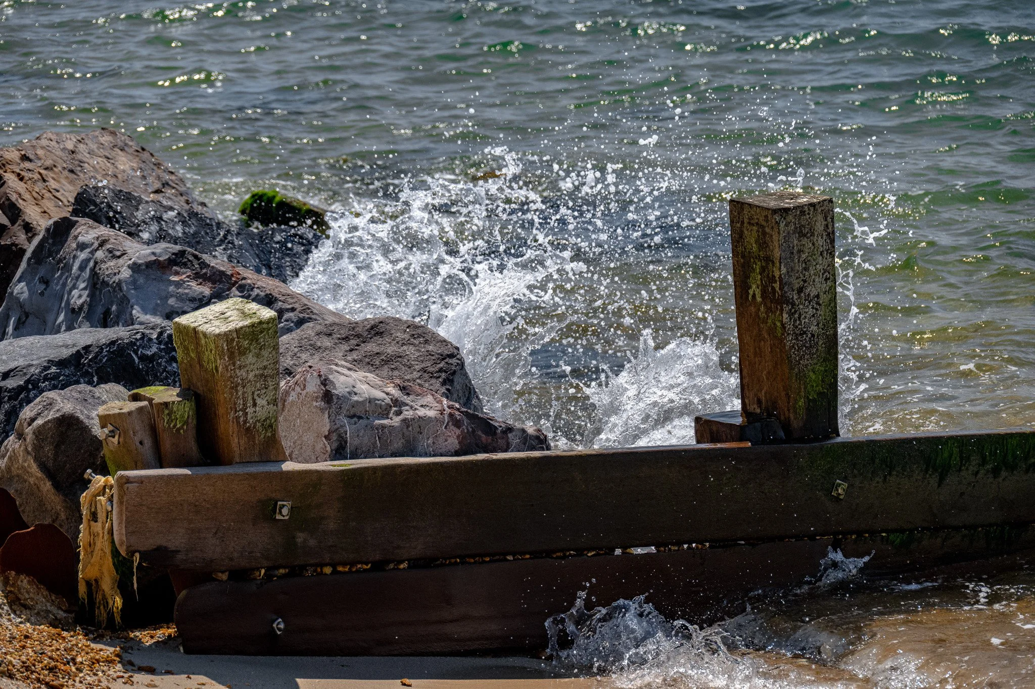 DSC_1552.jpg