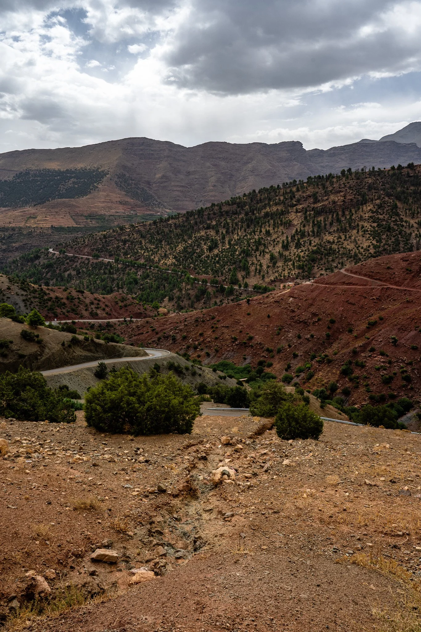 DSC_1126.jpg