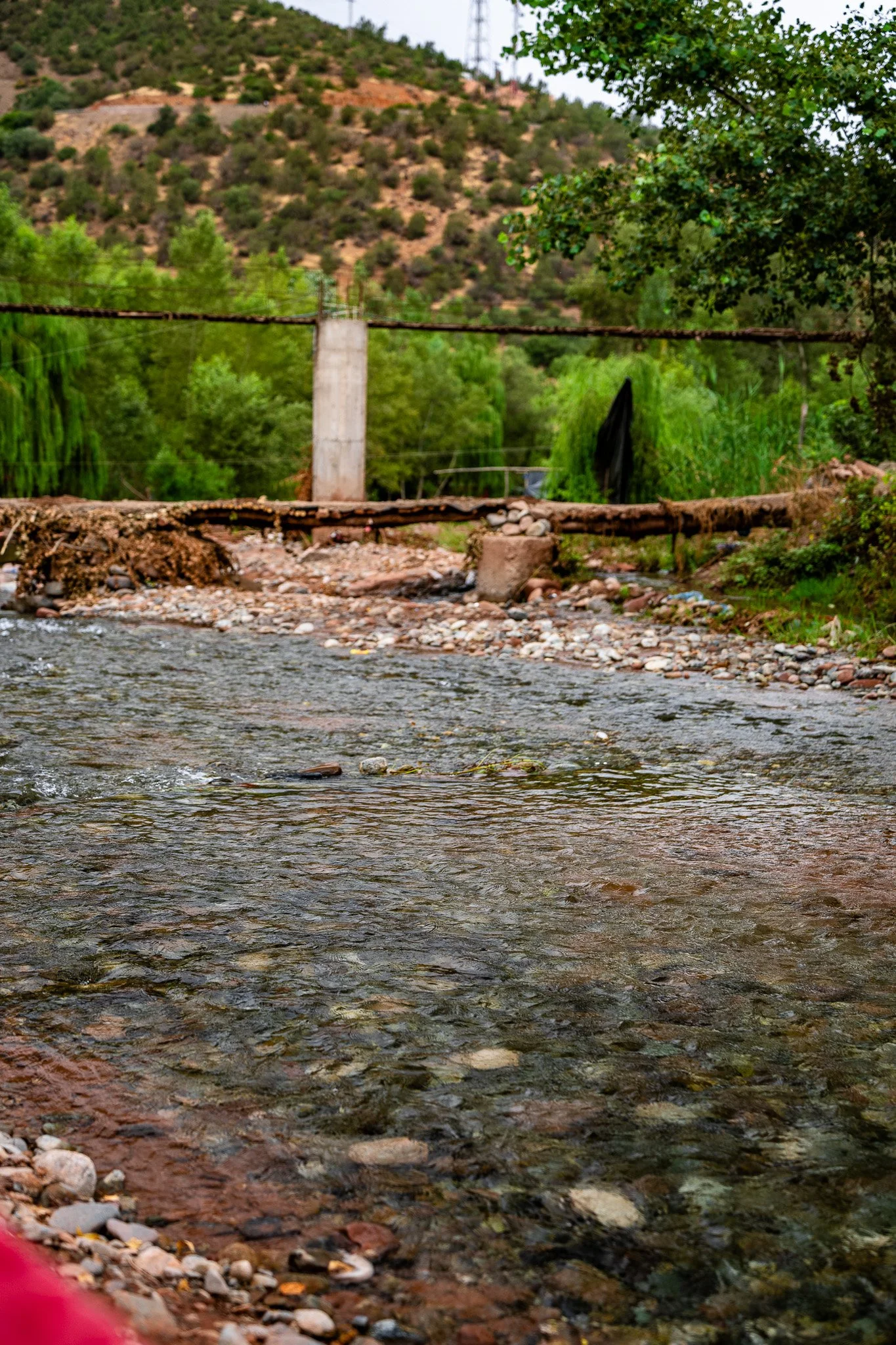 DSC_1098.jpg