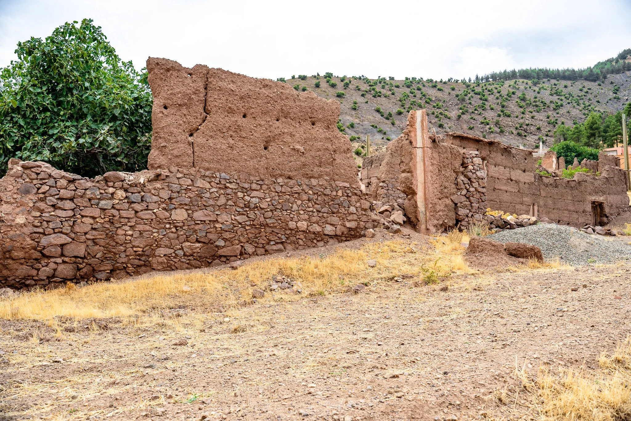 DSC_1203.jpg