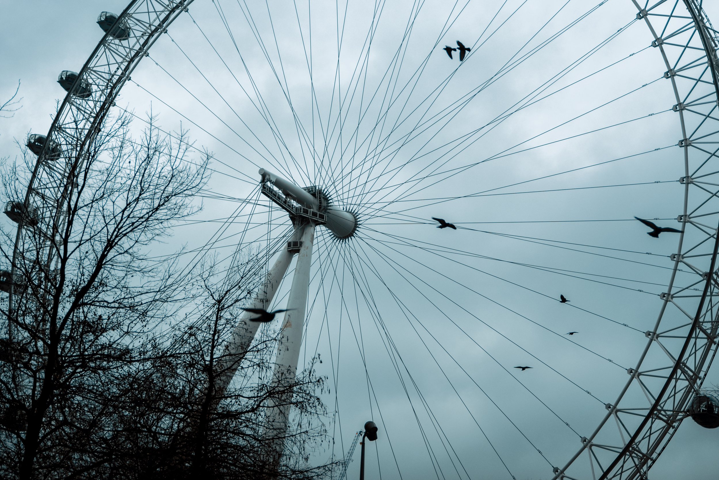 Looking up at a large Ferris wheel with a cloudy sky background. Several birds are flying near the Ferris wheel, and leafless trees are in the foreground.