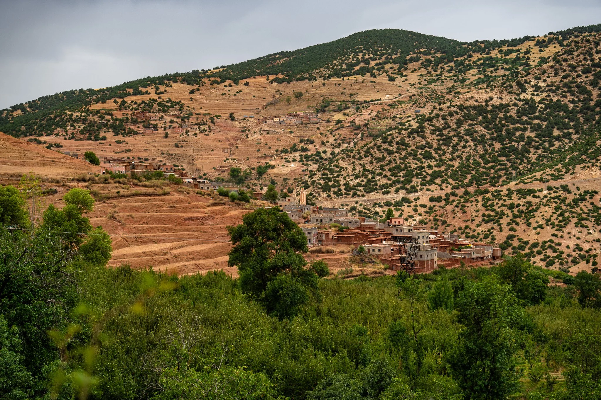 DSC_1188 4.jpg