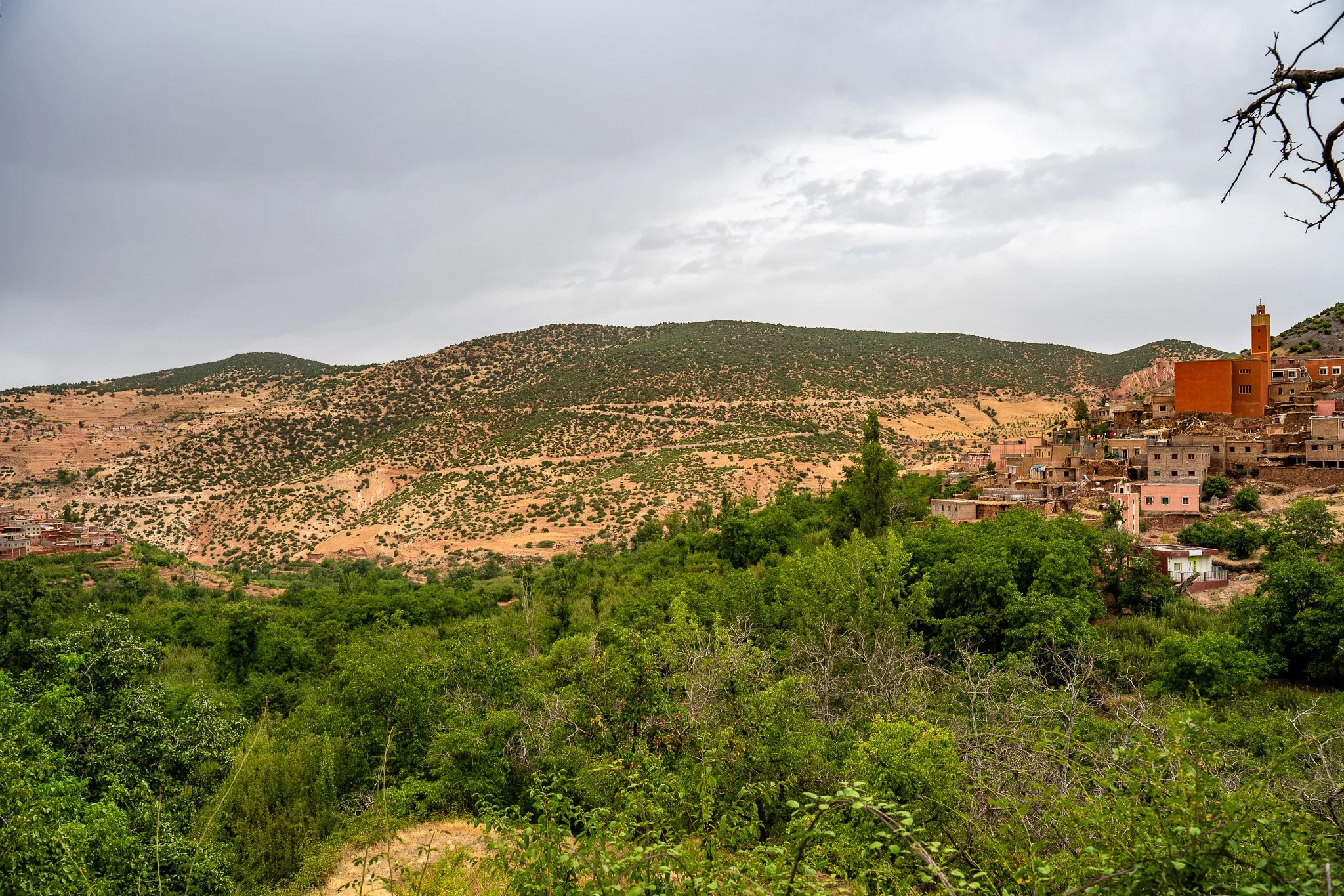 DSC_1179.jpg
