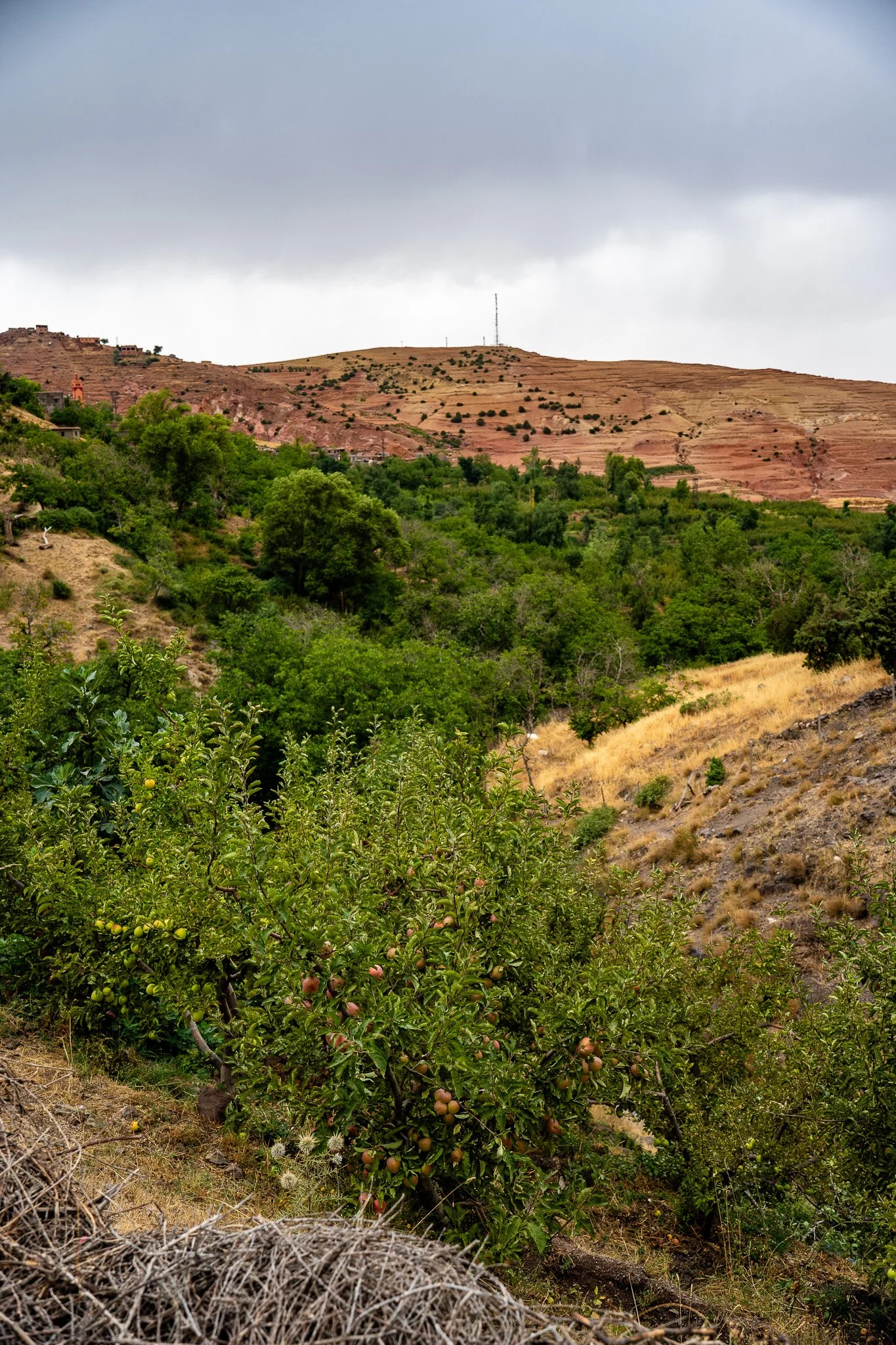 DSC_1173 3.jpg
