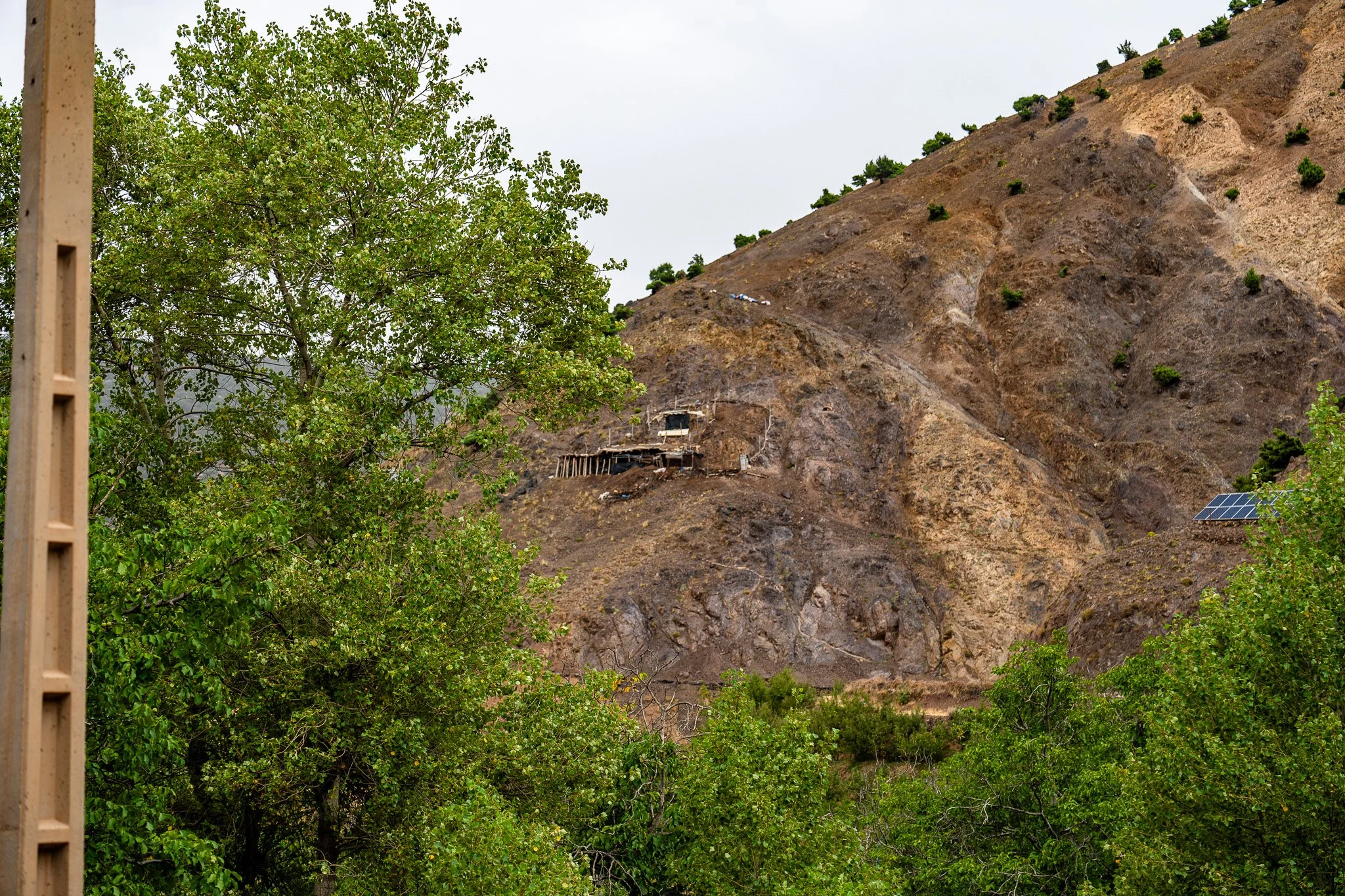 DSC_1175.jpg