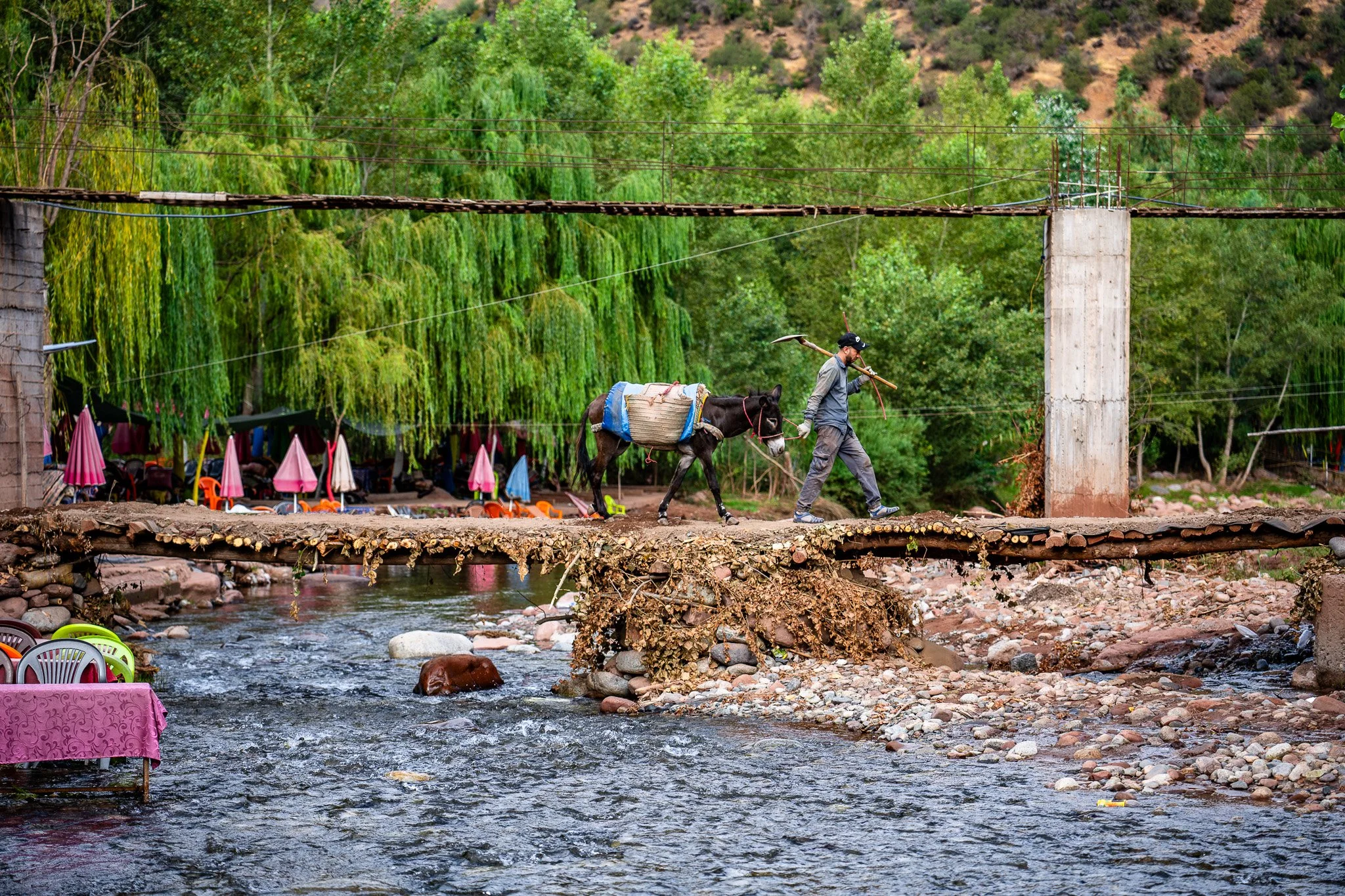 DSC_1088.jpg