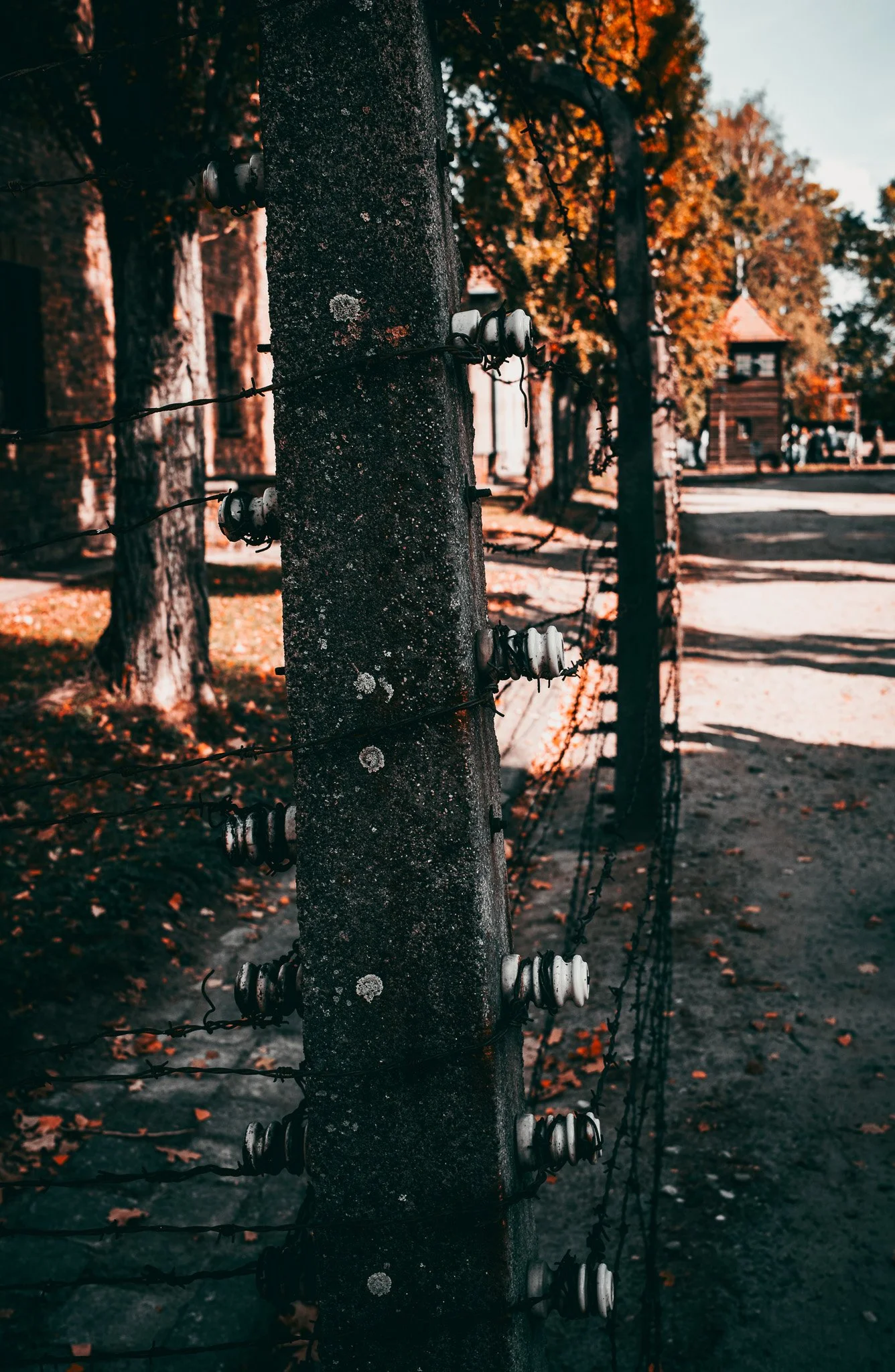 DSCF0433.jpg