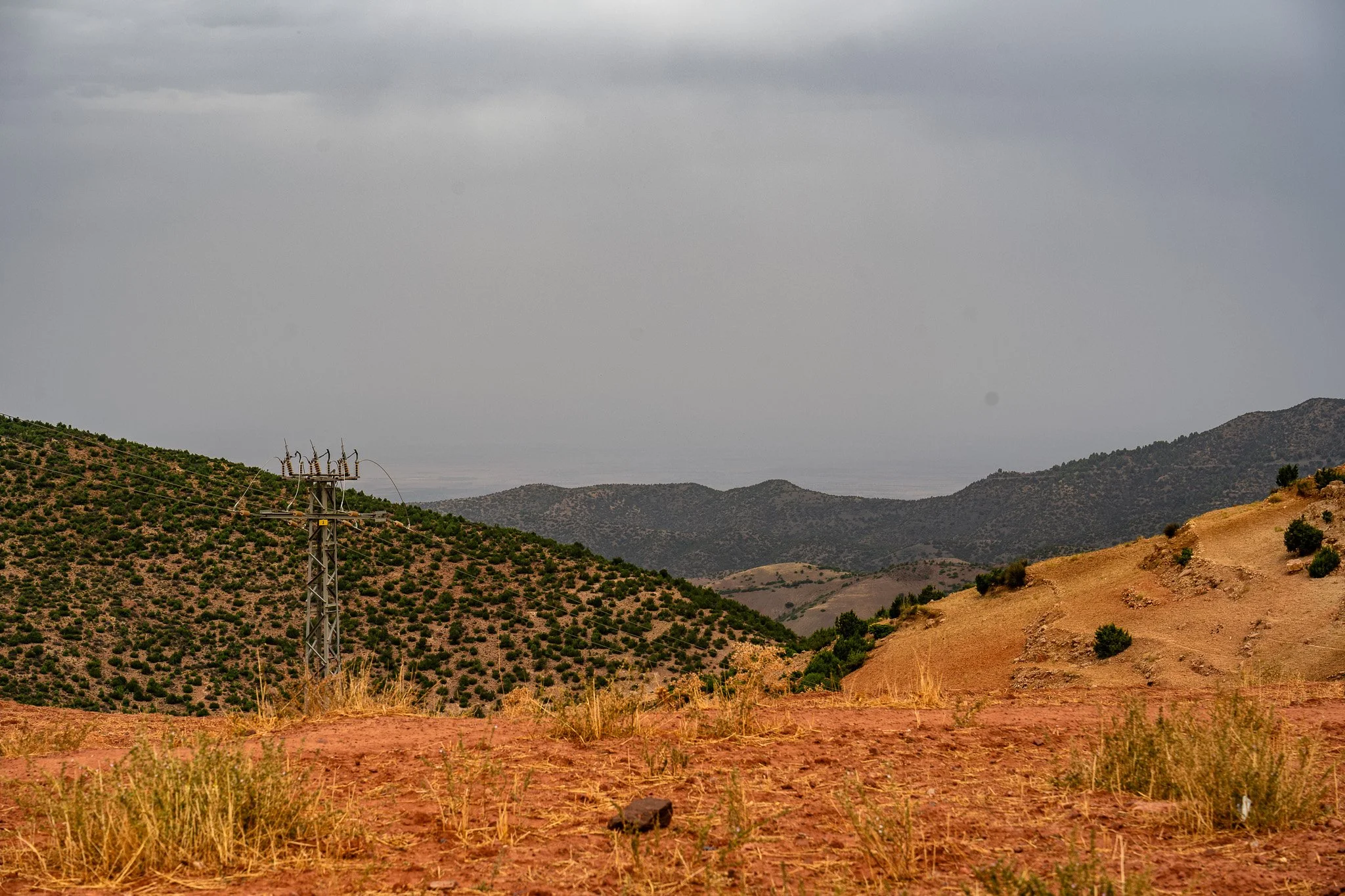 DSC_1226.jpg