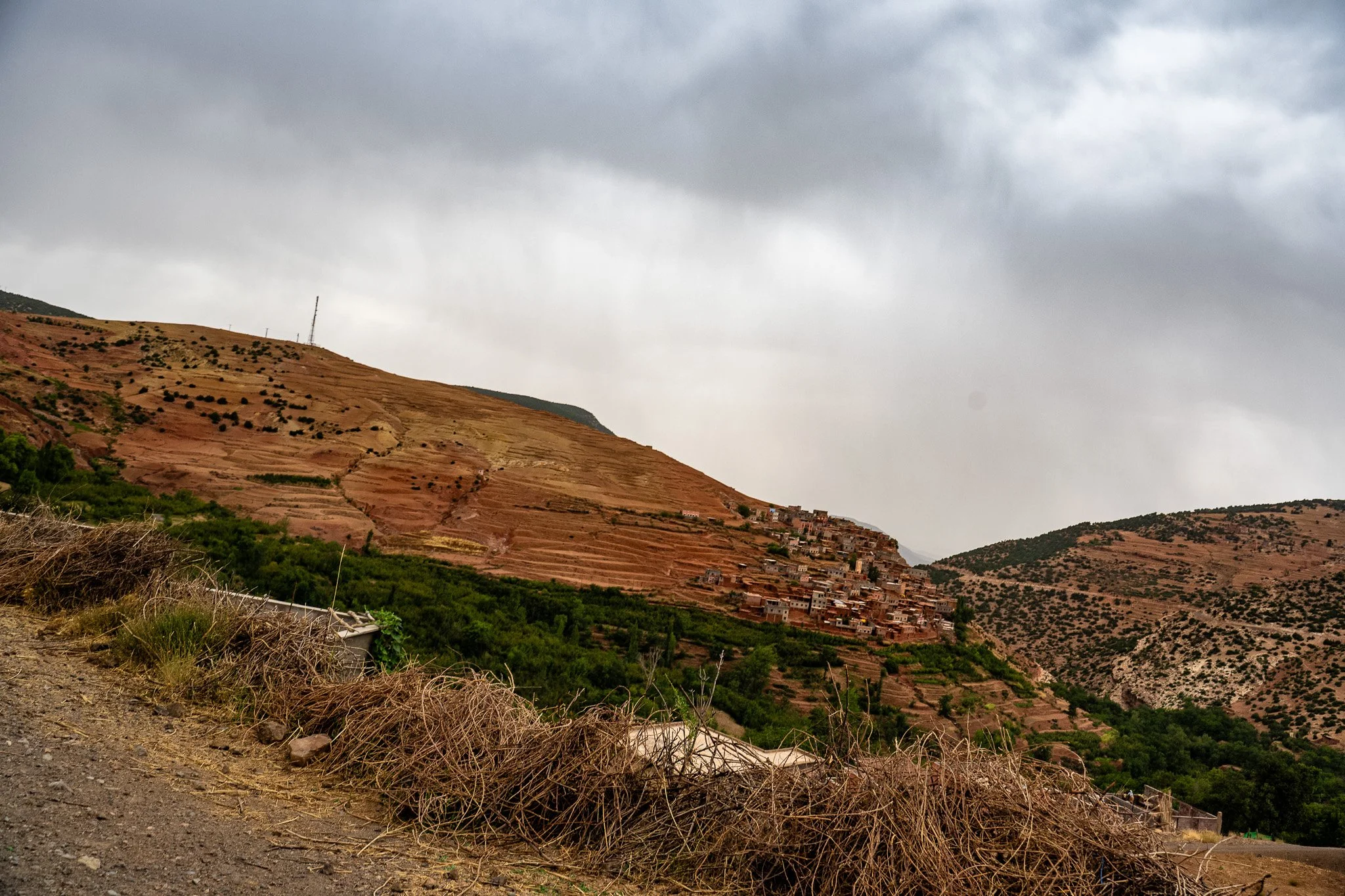 DSC_1163.jpg