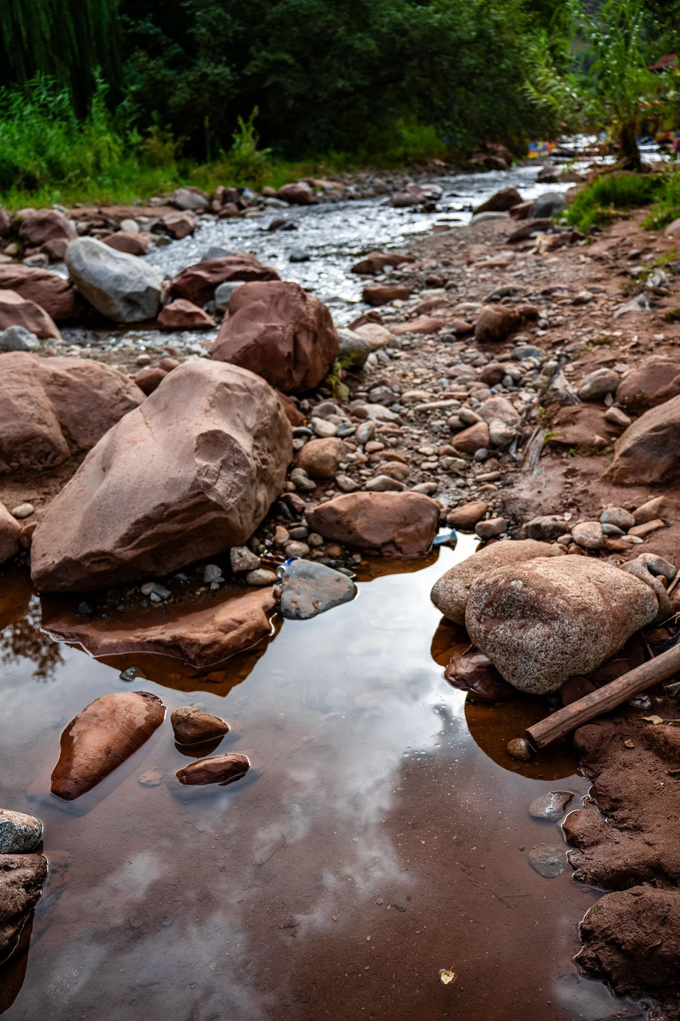 DSC_1067.jpg