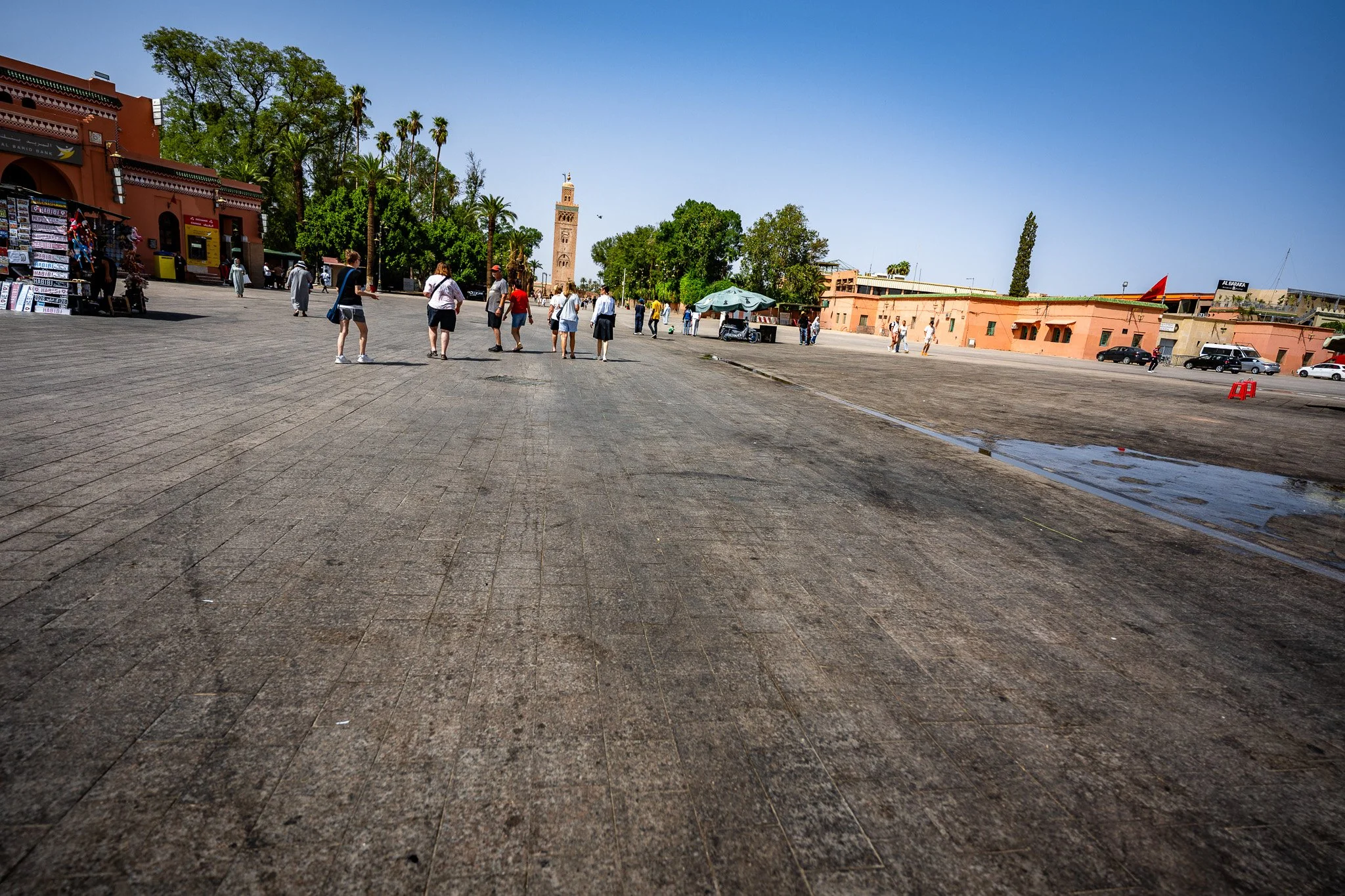 DSC_1013.jpg
