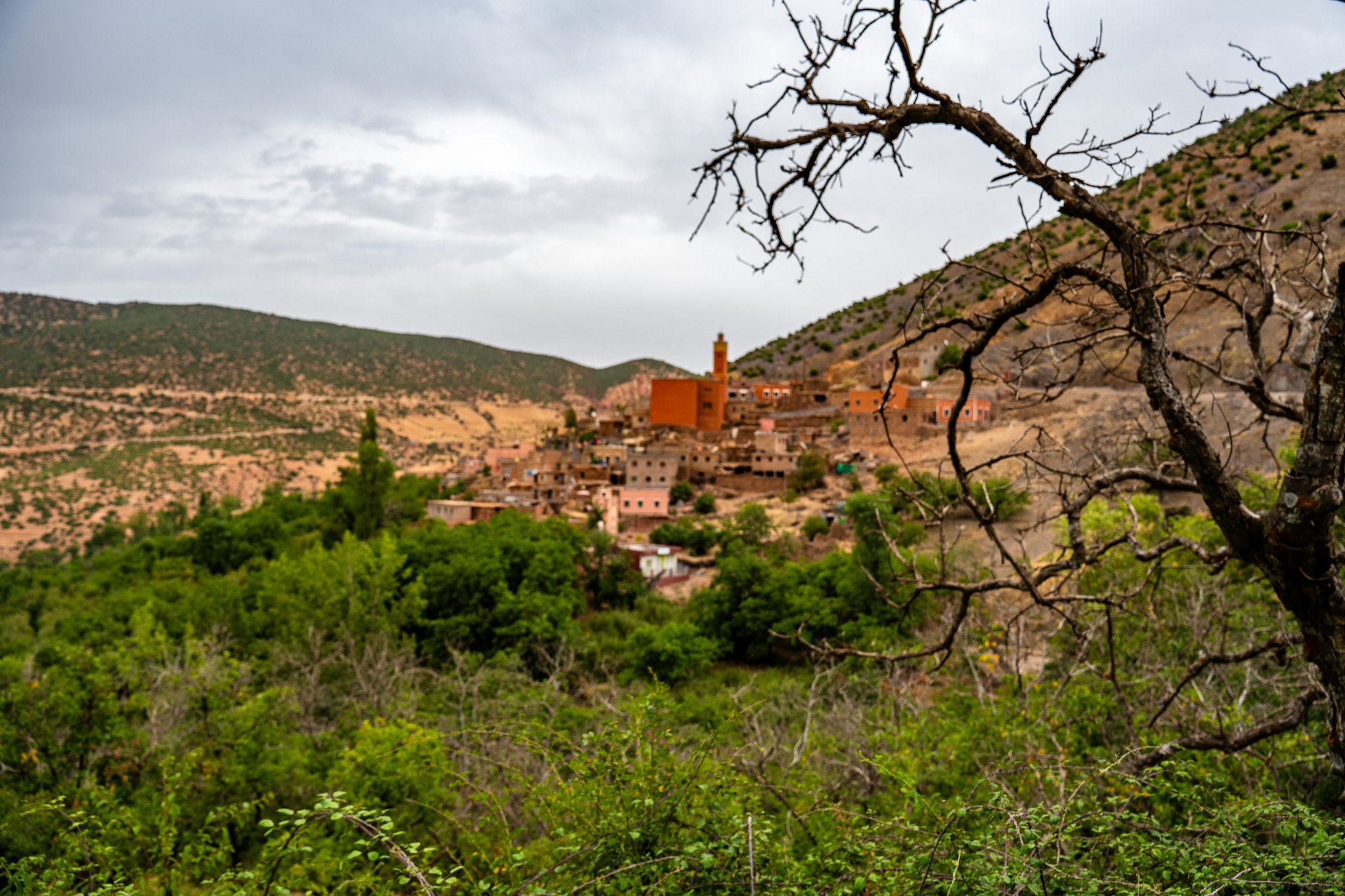 DSC_1178.jpg