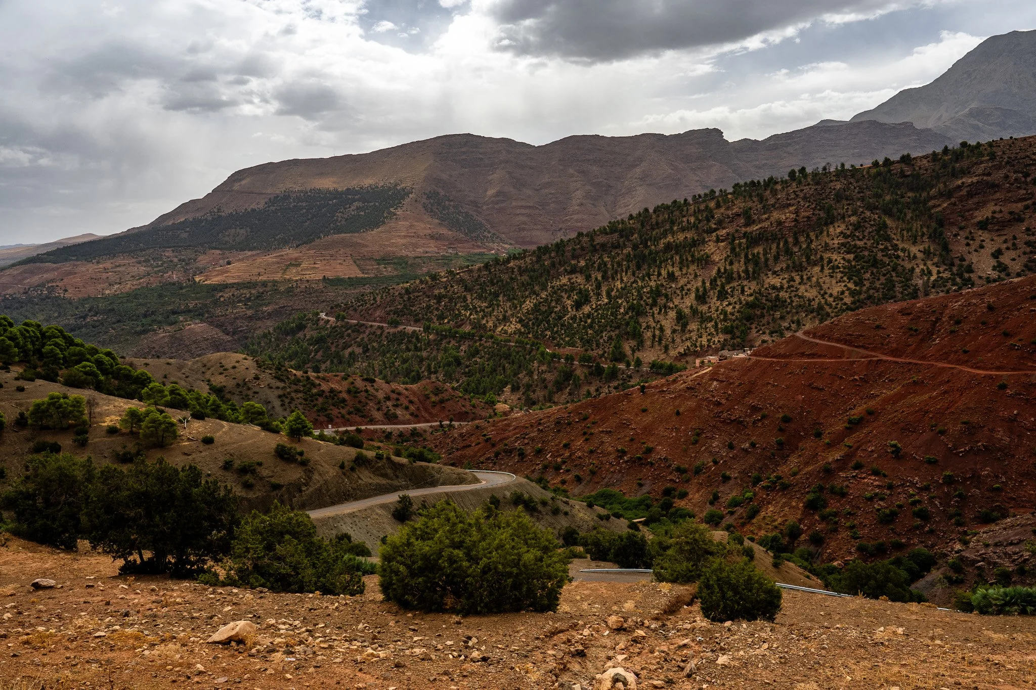 DSC_1128 2.jpg