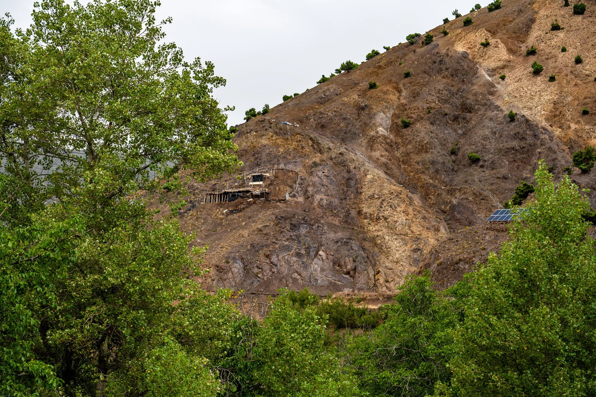 DSC_1176.jpg