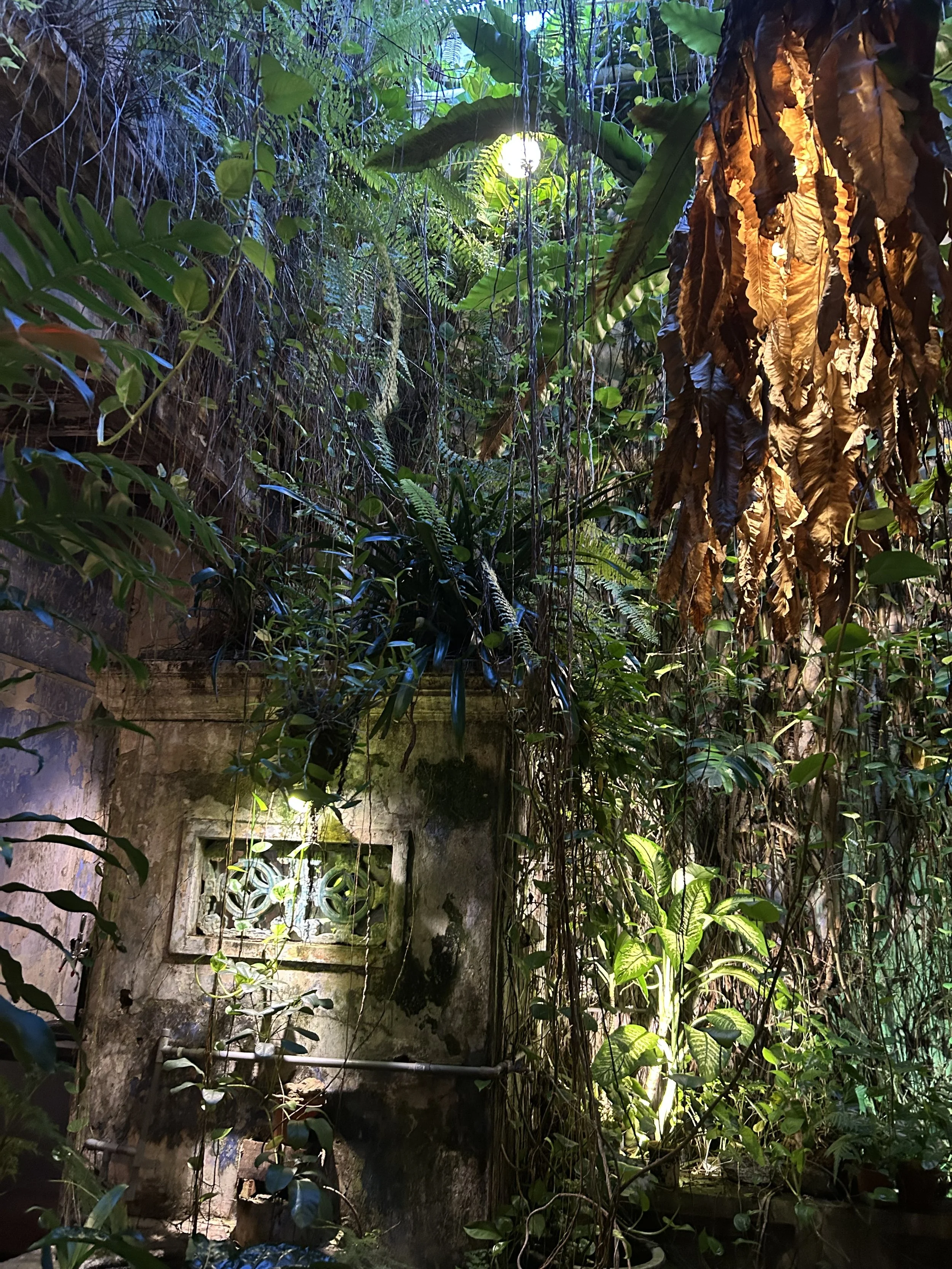 Lush, overgrown tropical jungle with dense green foliage surrounding a small window on a weathered wall.