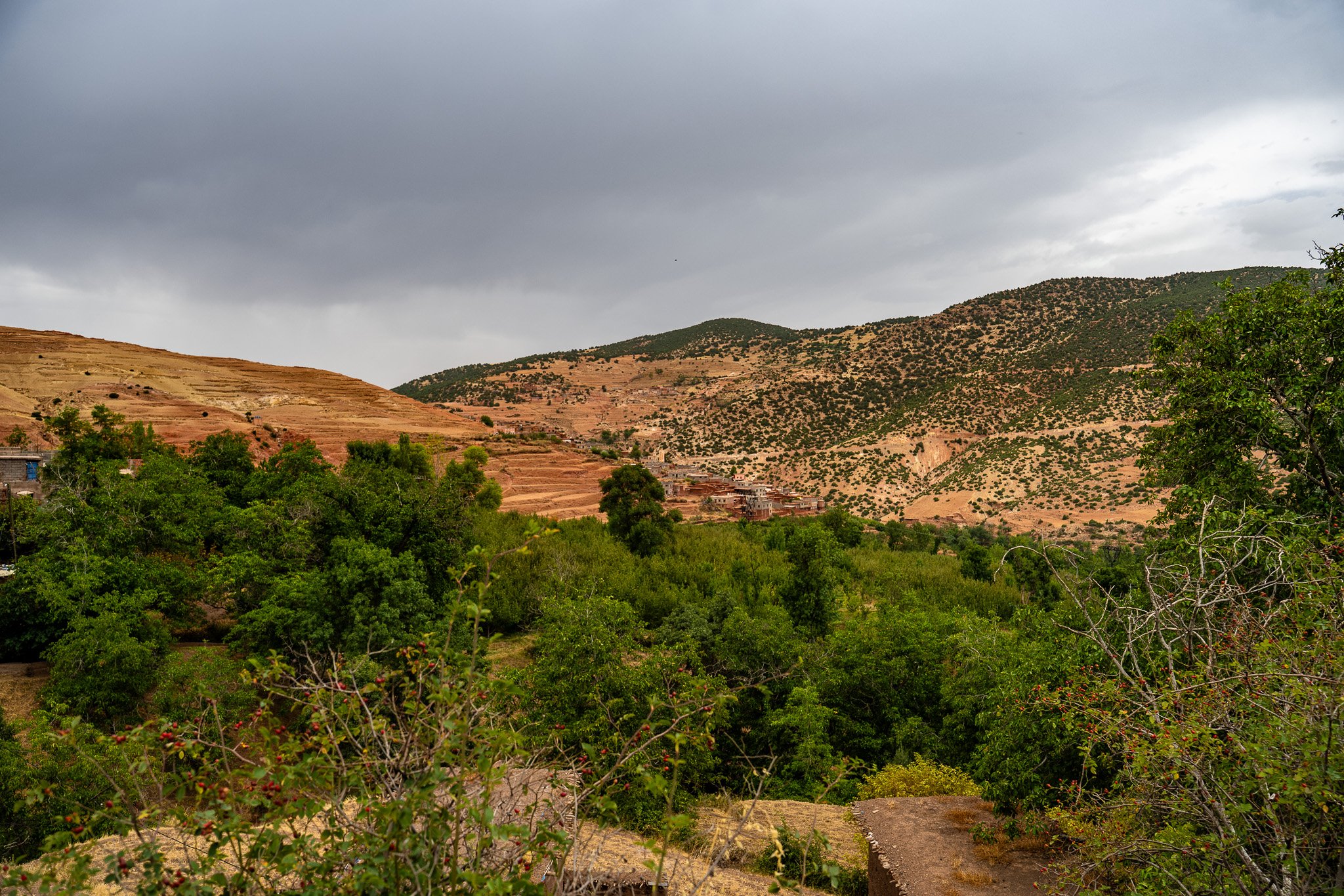 DSC_1186 4.jpg